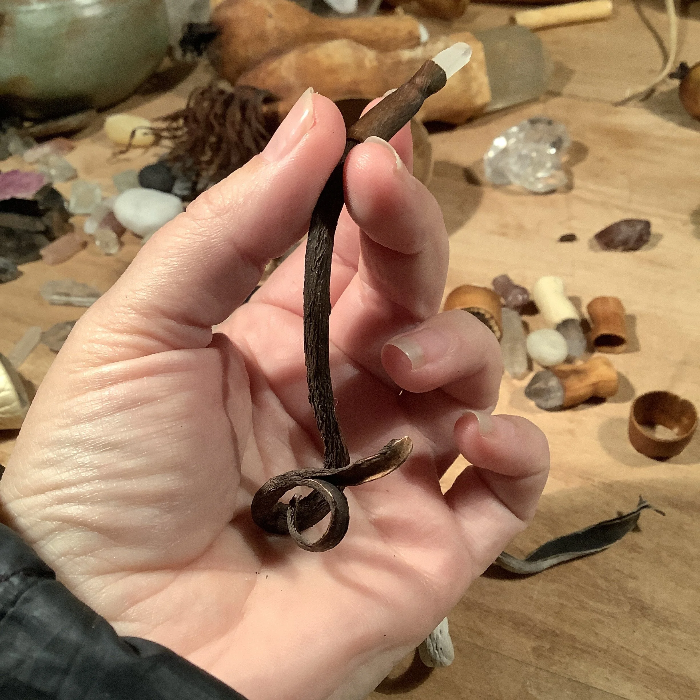 9492F70F-558D-414D-8ECE-4FB425376CEA