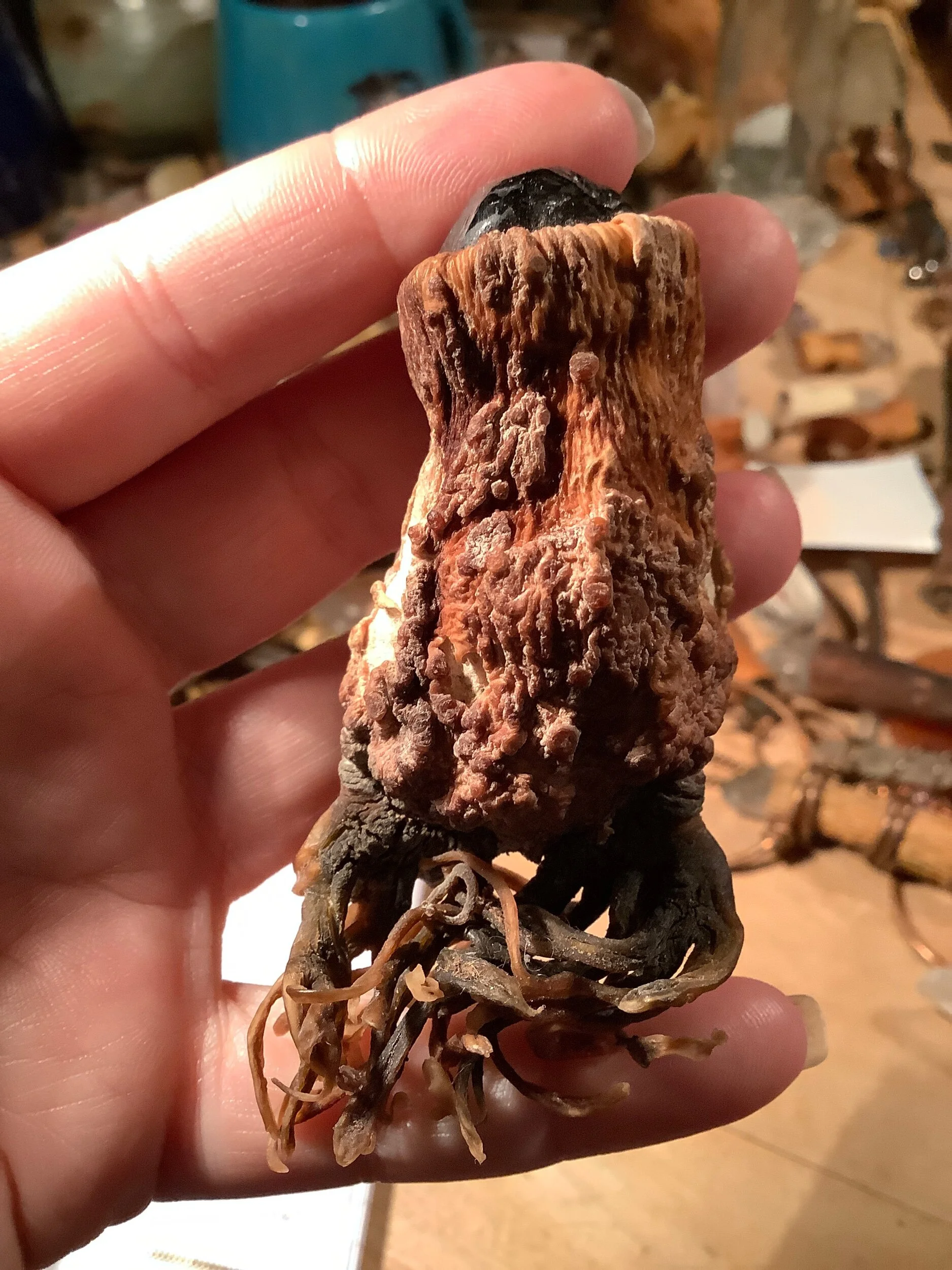 D9FDE71E-D5E5-4241-BDE2-1EA8AF1B4D38