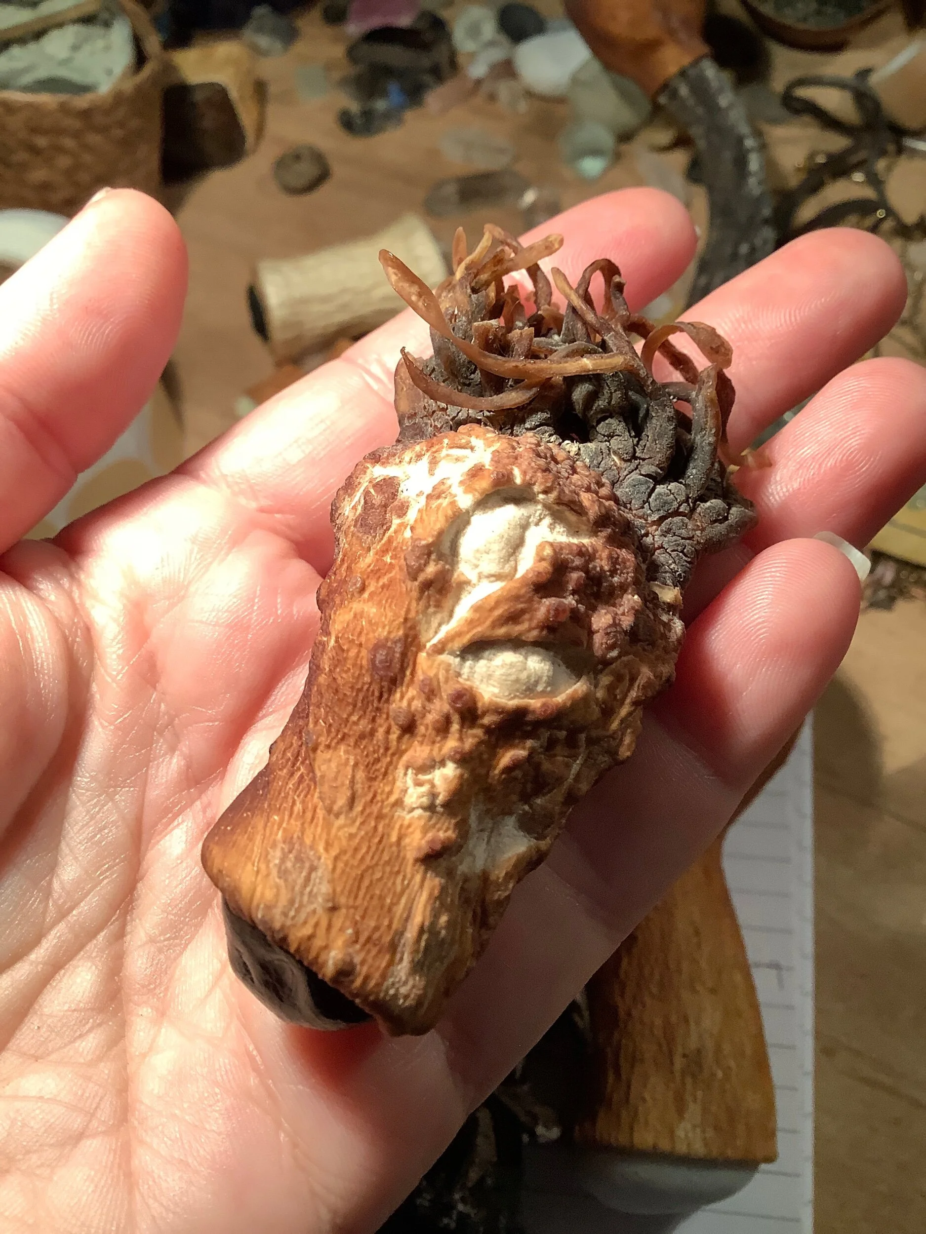 4D73F1E4-83A8-4AC5-9455-2245FF3046E6