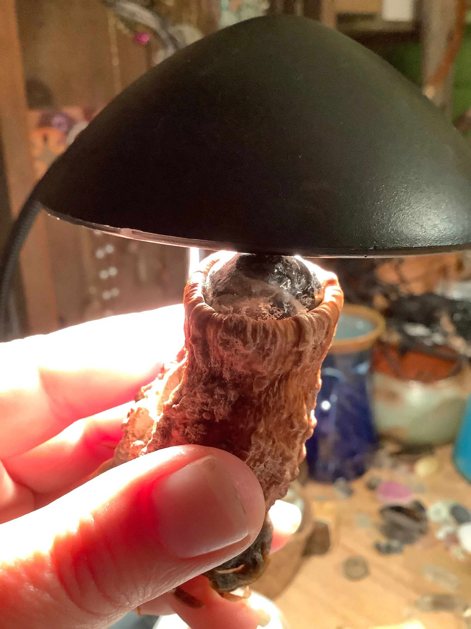 98CDF242-B085-40FE-BADE-12D8DAE1E4F1