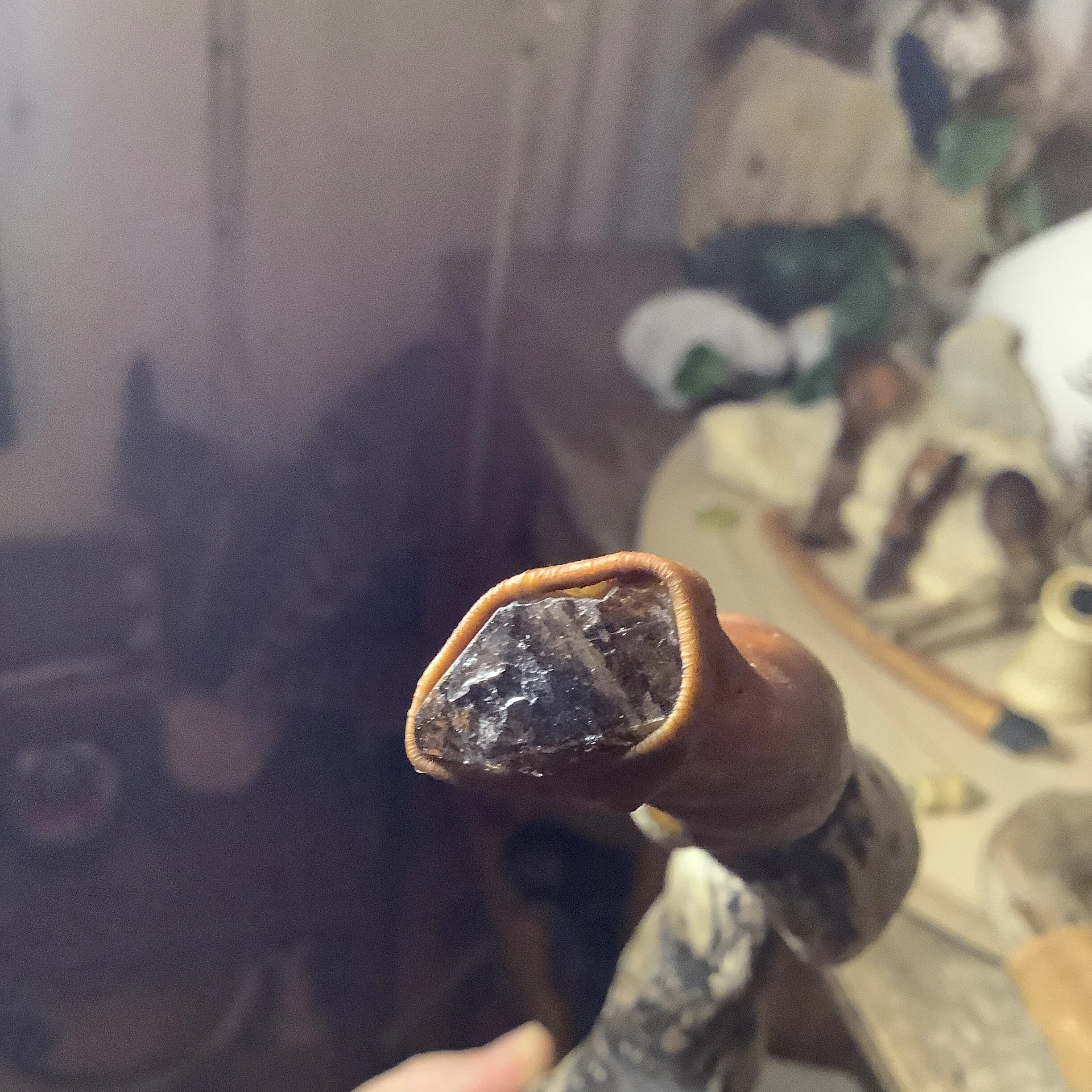 1C363C8D-33A2-4391-8AC0-B85491BD53B7