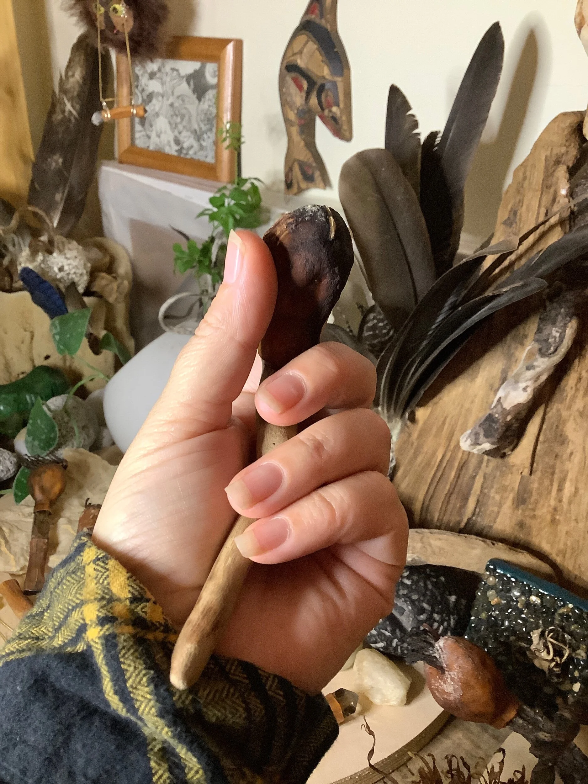 42720D85-67B8-421C-91F8-44DB2A36AE52