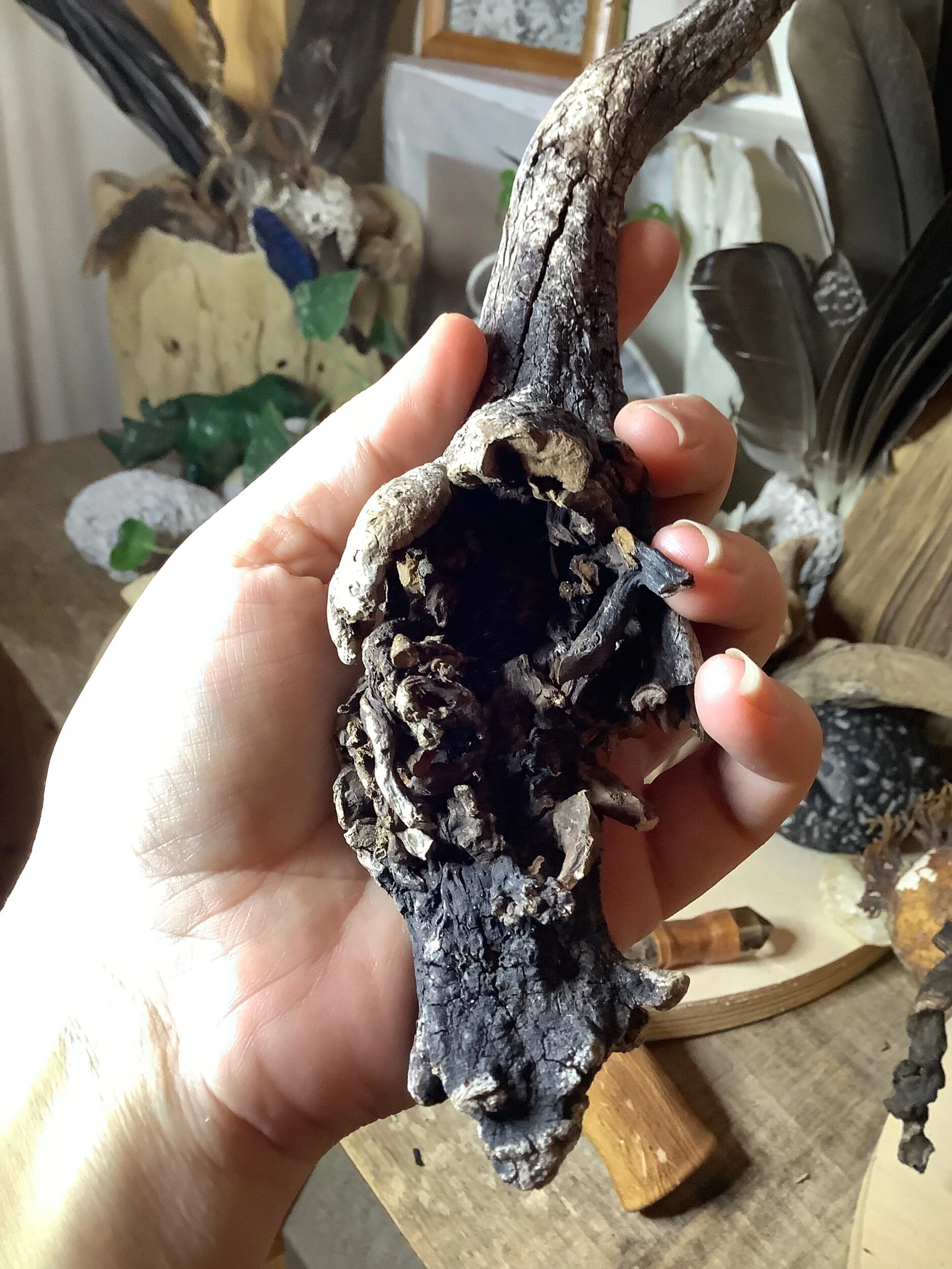 BD4E5881-96E3-4975-8EEF-DCD9EFC81D48