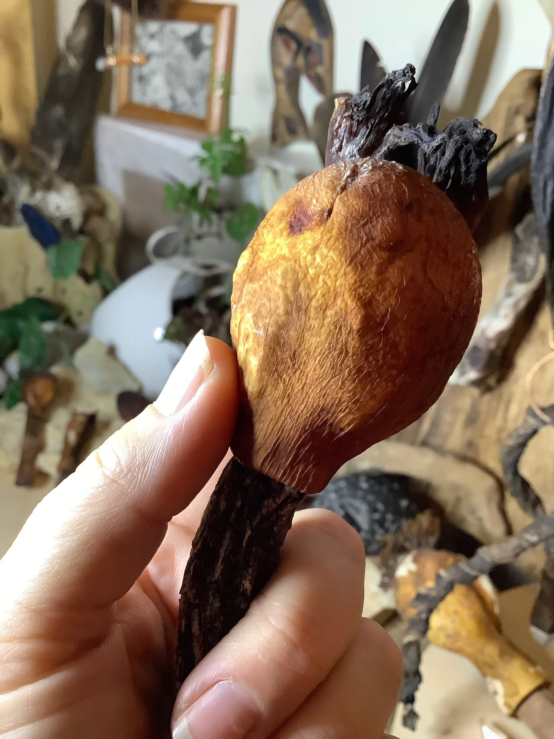 79A00238-F4DD-4649-A623-0F5C4813213F