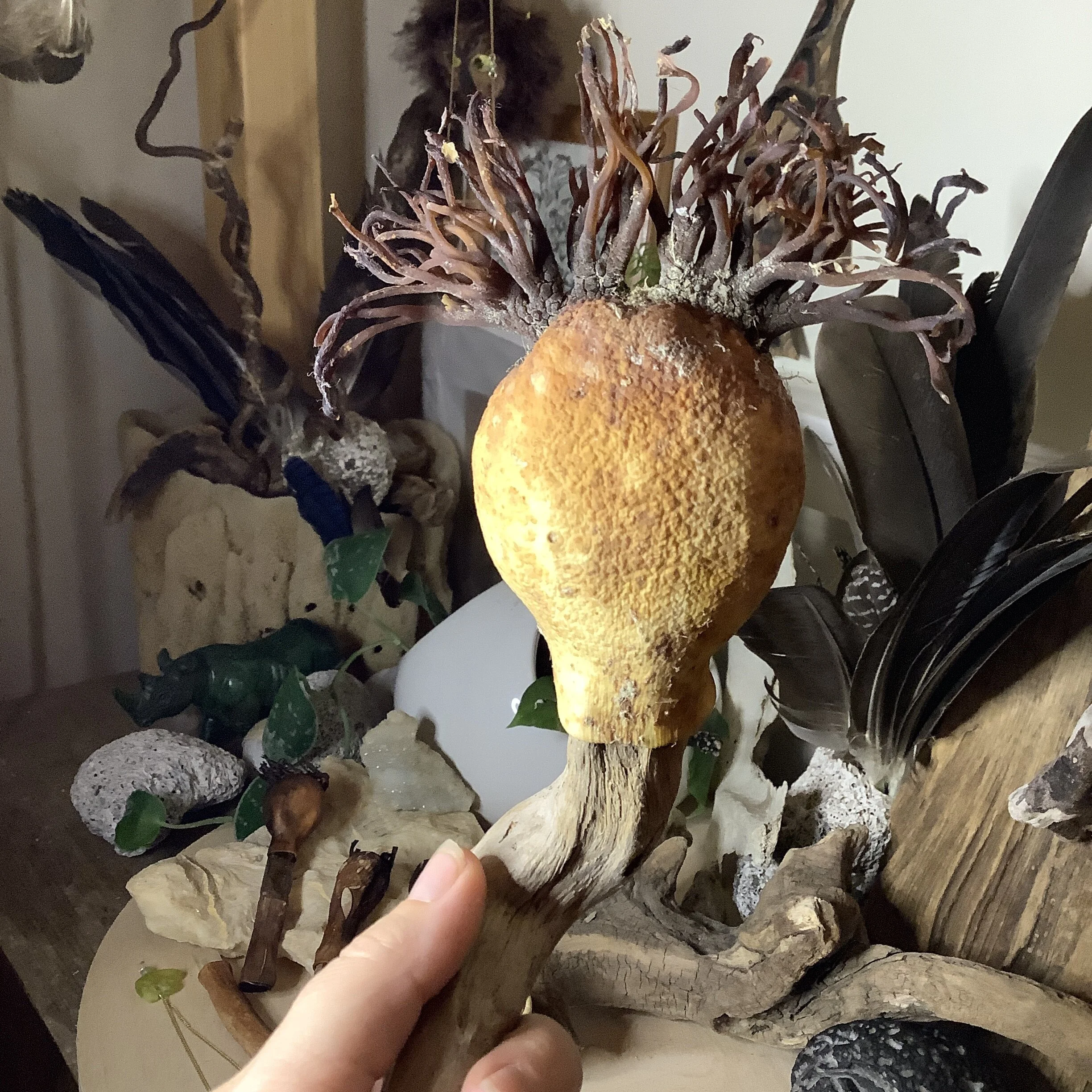 D7612B8F-7996-45BE-8275-4B75861A2D4F