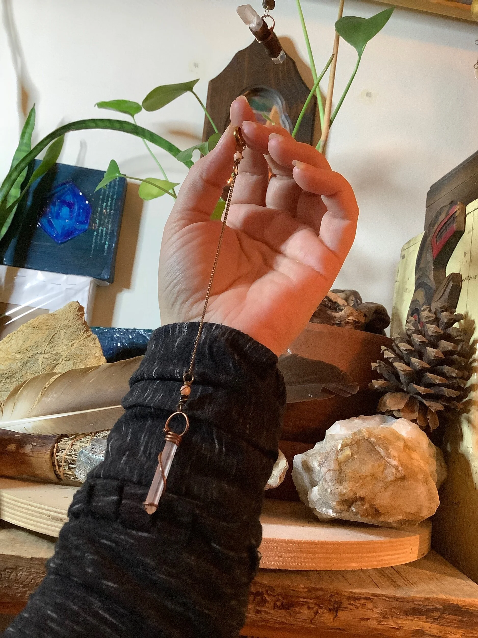 8FBB85DE-9FE0-4CF8-8007-4A2DCCCC6E15