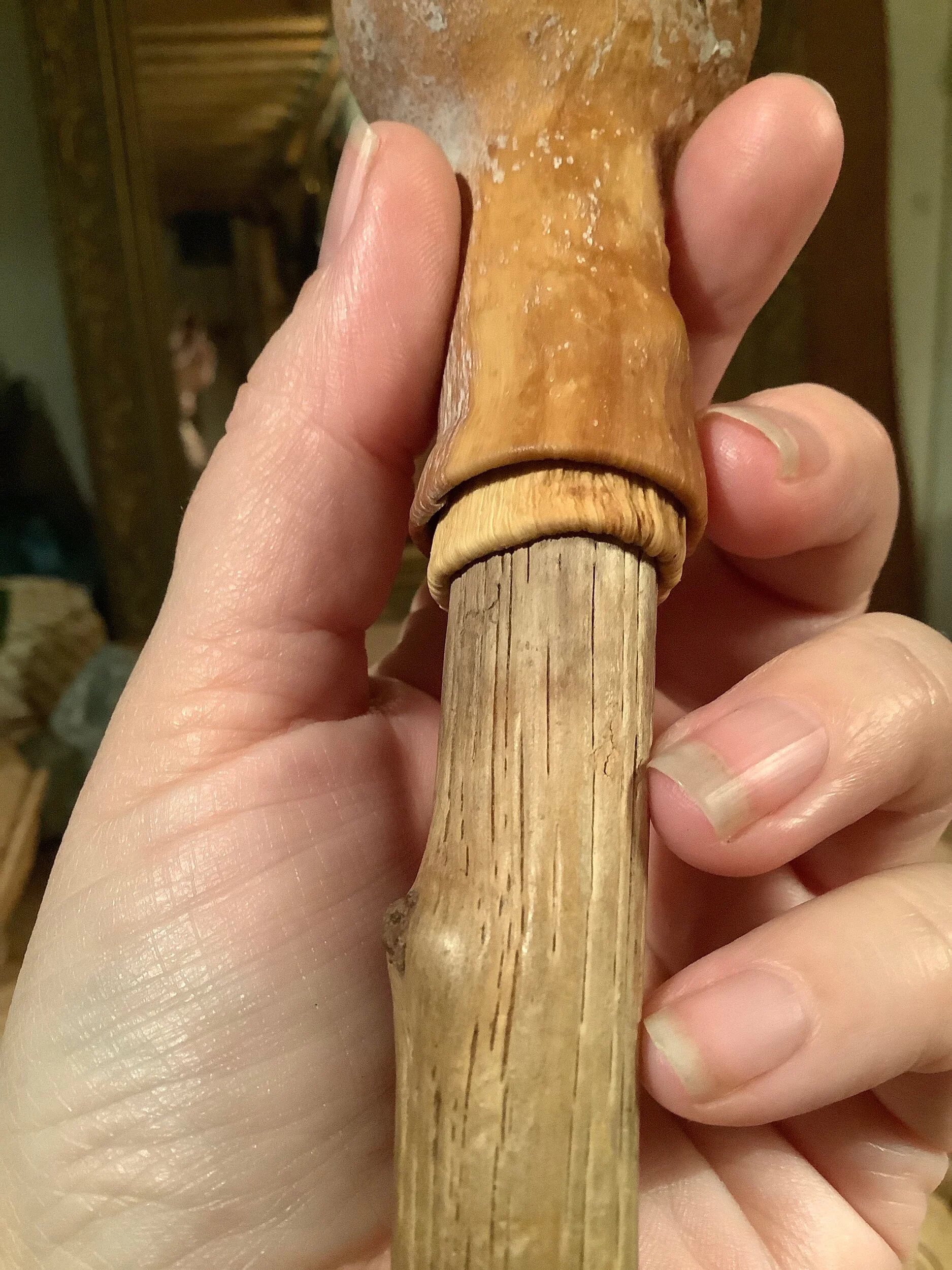 CD5867EA-D307-47E1-B08A-072B3D14C05A