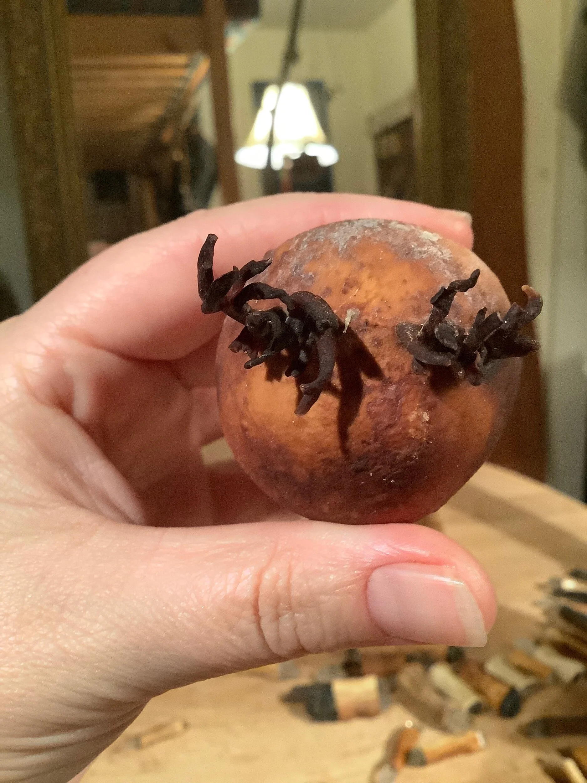 D41F36B6-B18E-48F1-A3D4-9AC9660CC339