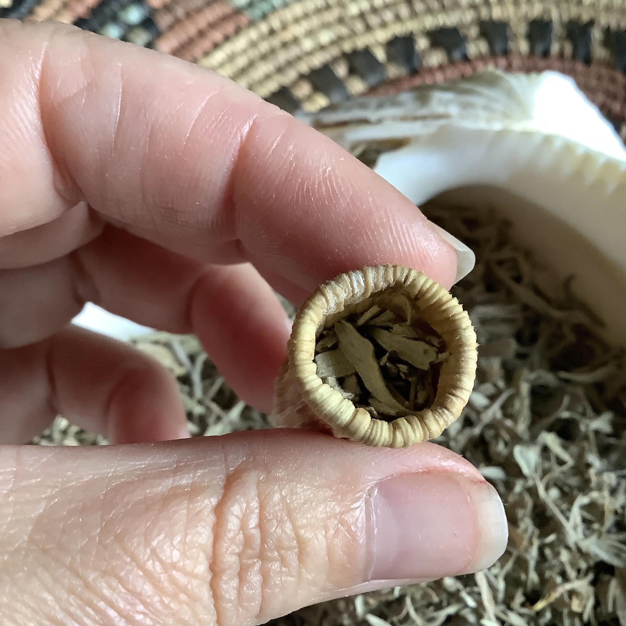 4D42BA86-74E9-4E33-AD03-FF1594011DE5