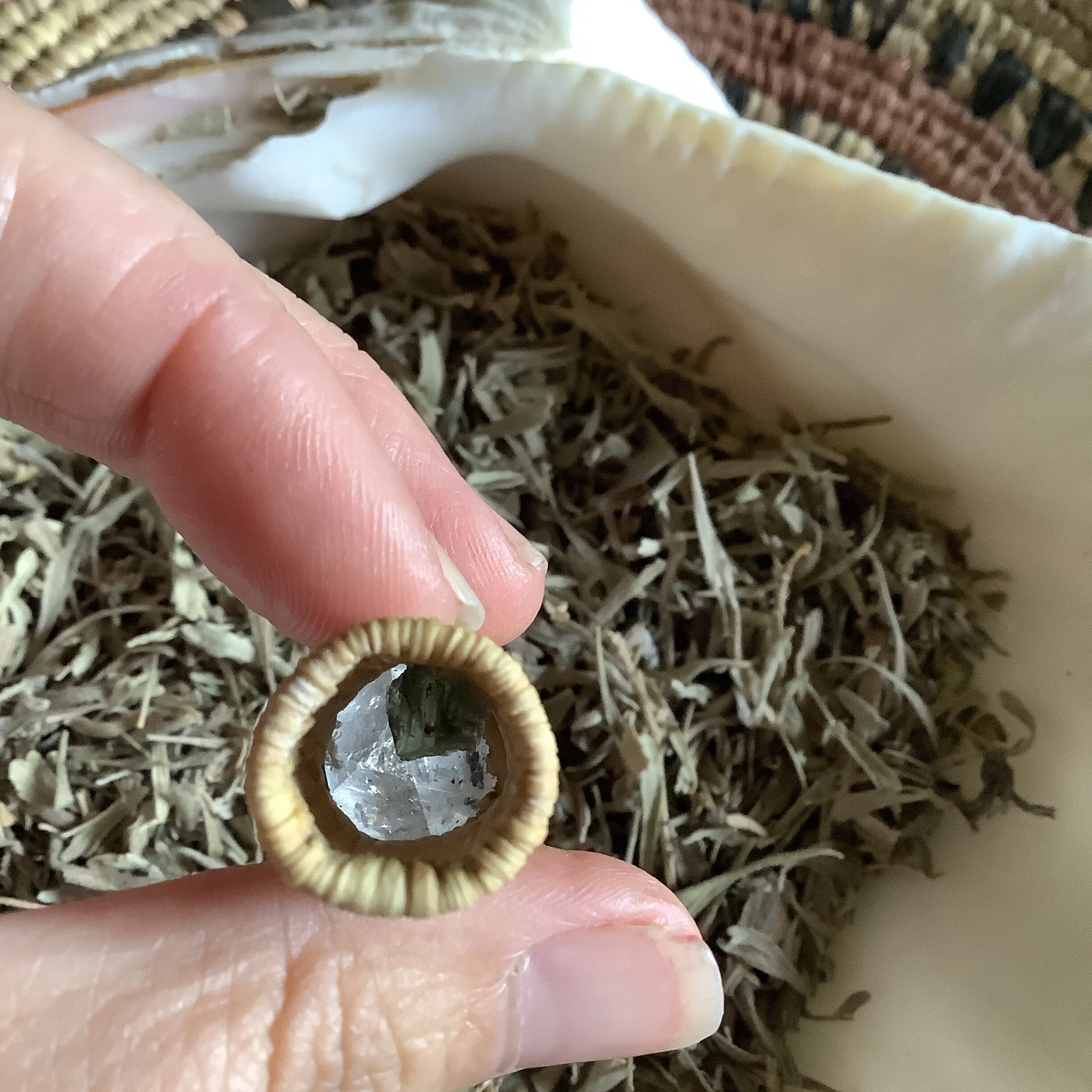 BBE558C1-B3FB-444C-AC76-5879DFDE292F