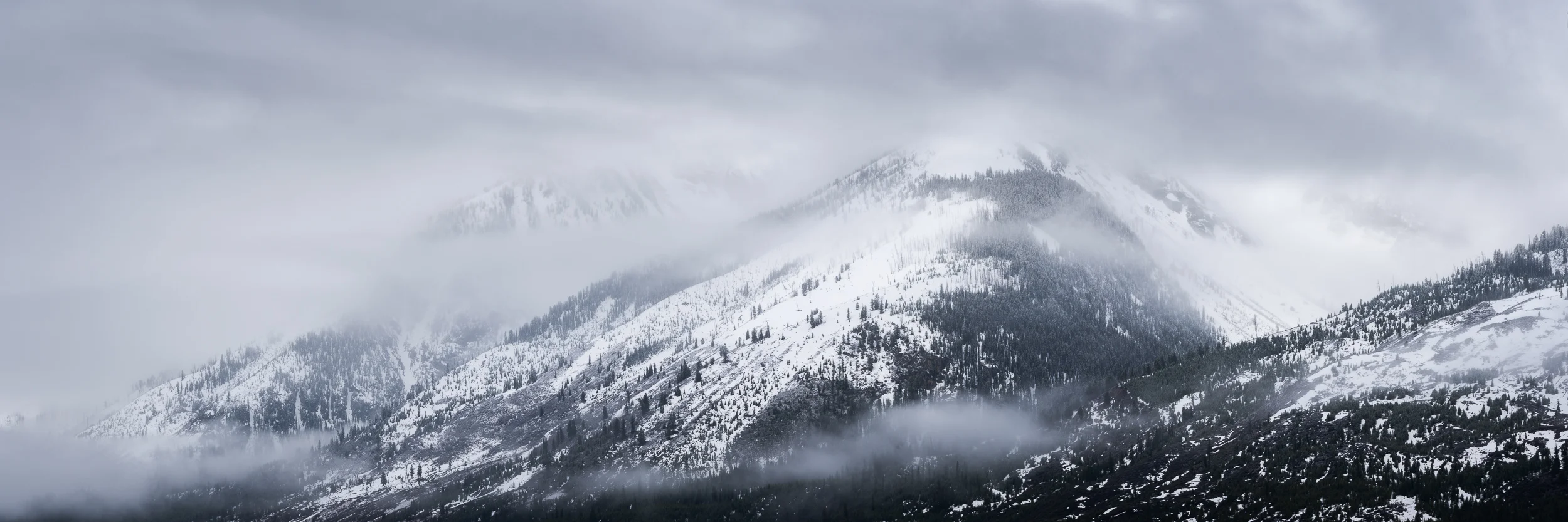 Frozen Mystery