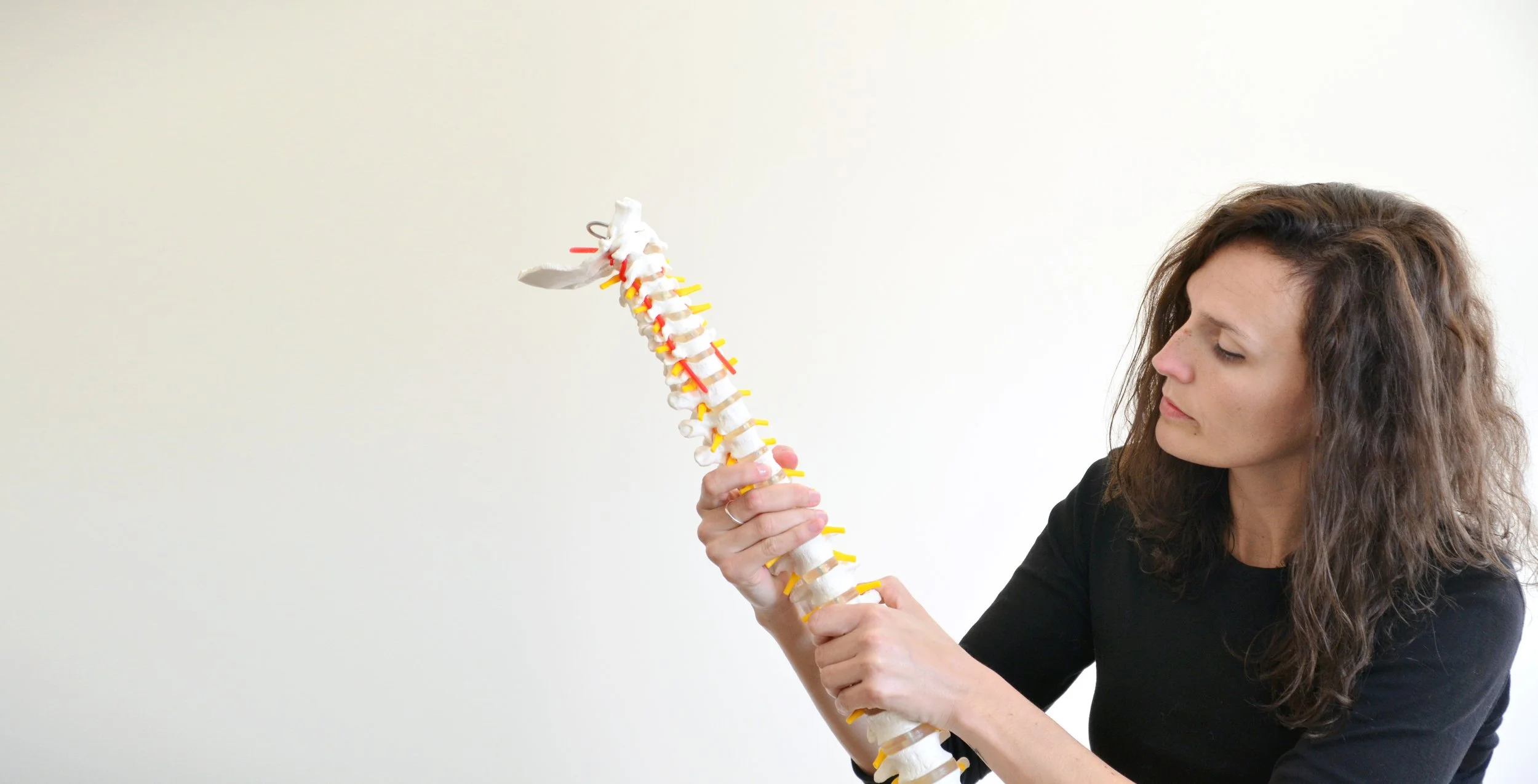 The Heights Chiropractic