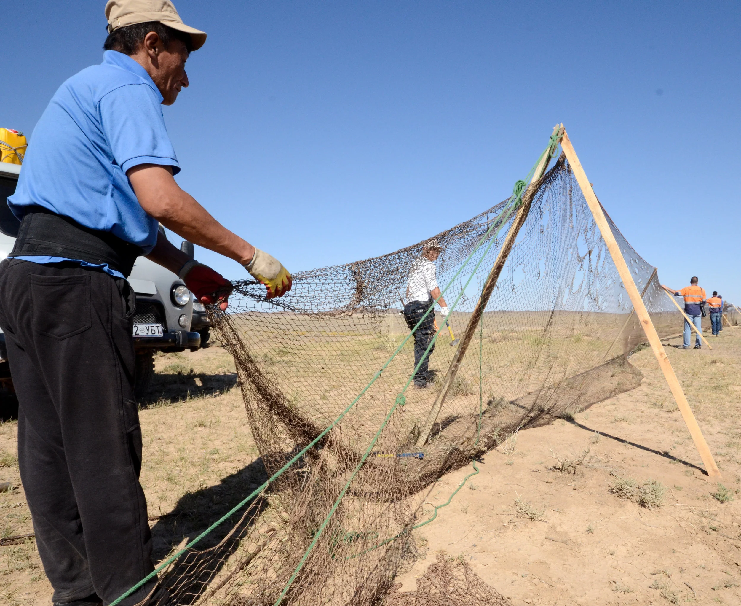 Representatives from Wildlife Conservation Society and Oyu Tolgoi set a drift net to catch and then satellite collar Mongolian Gazelle as part of the Oyu Tolgoi biodiversity monitoring program.