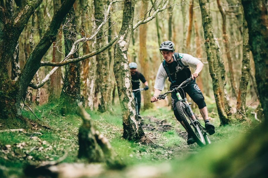 ALINE FRONT PAGE.png