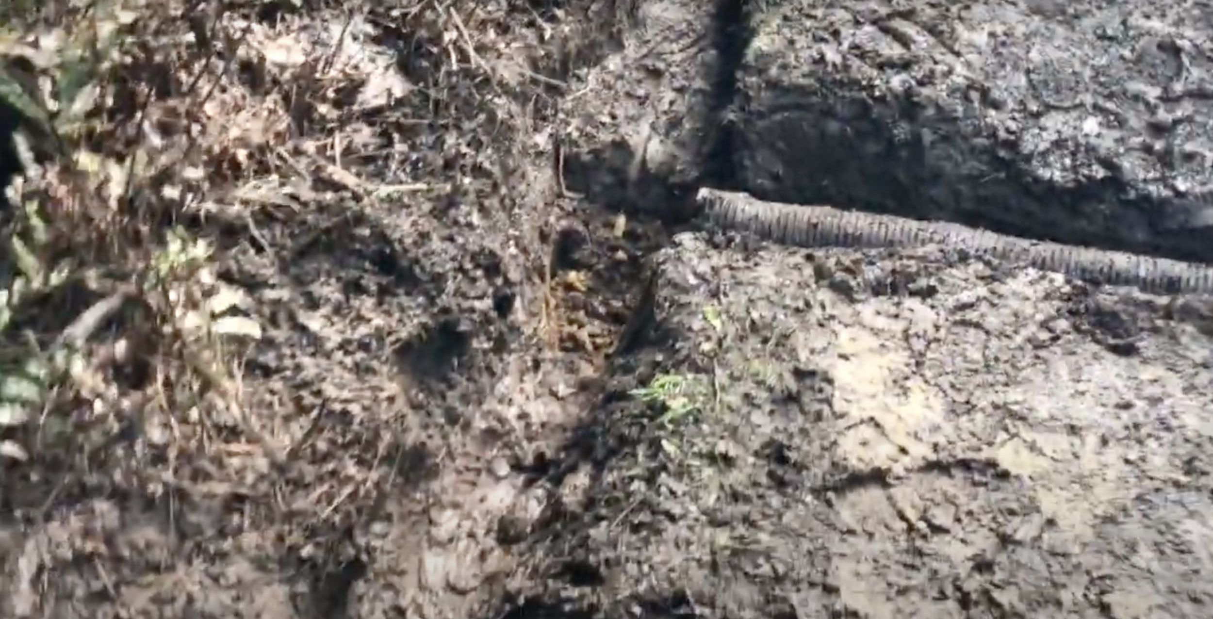 Screenshot 2020-08-08 at 6.07.44 PM.png