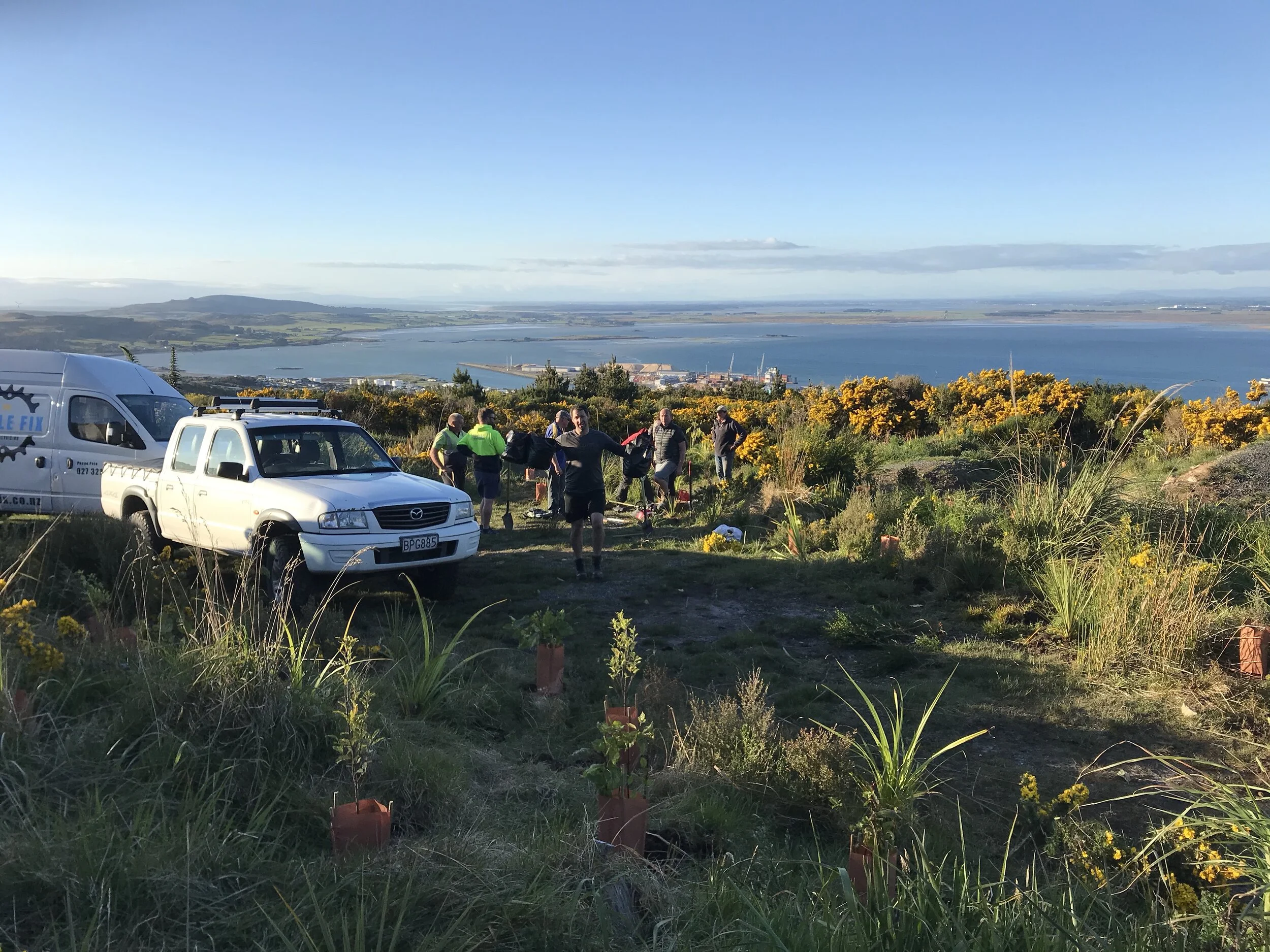 Planting Natives with Southland Mountain Bike Club