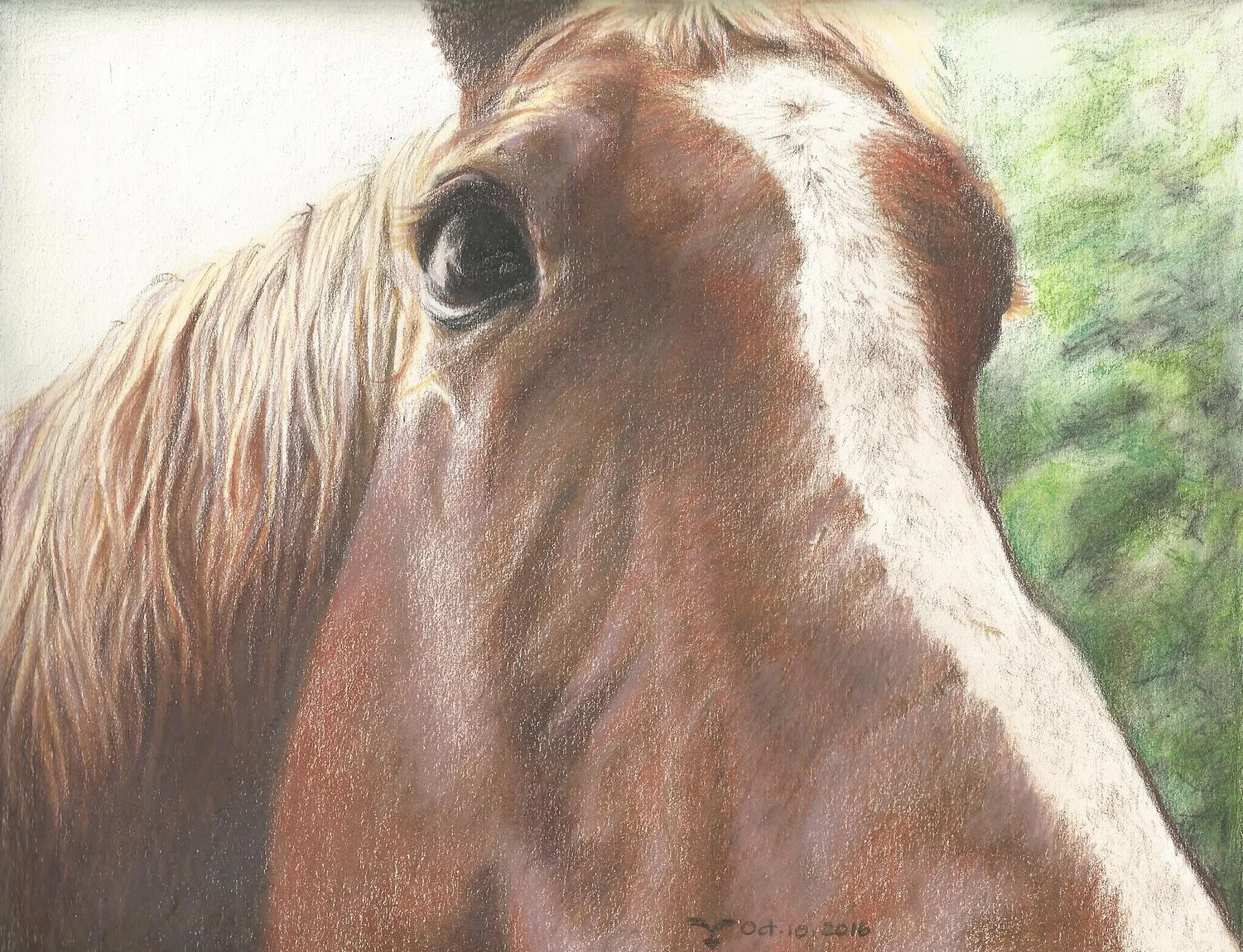 Chesnut Horse