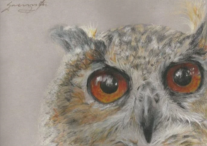 Owl 4, Fluffy ear, large, orange eyes, 4.75 x 6.75", SOLD