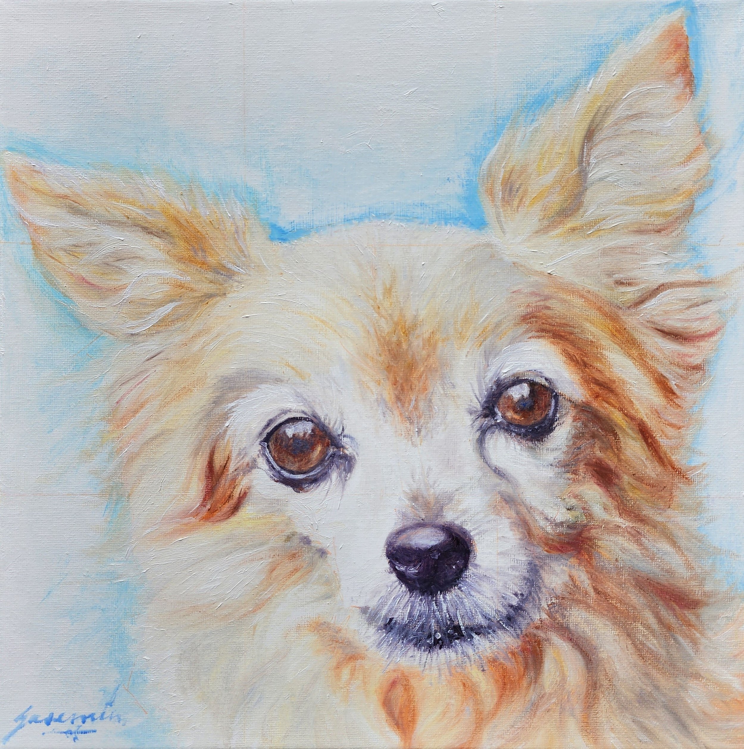 Pom-Chi? Who's Dog is He (/she)?, 12 x 12", Oil on Canvas, $180