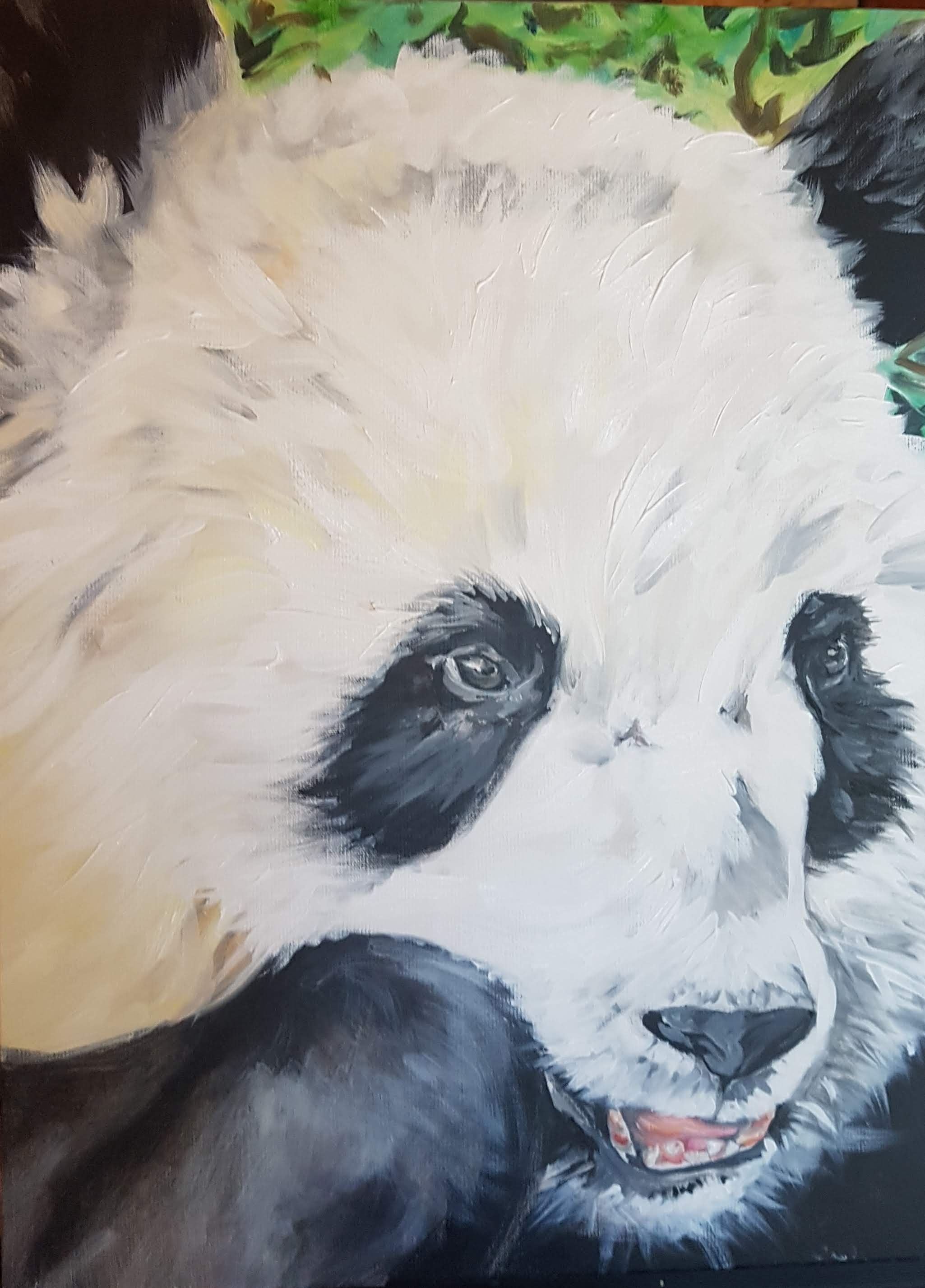 Giant Panda, Acrylic on Canvas, 18 x 24, $360"