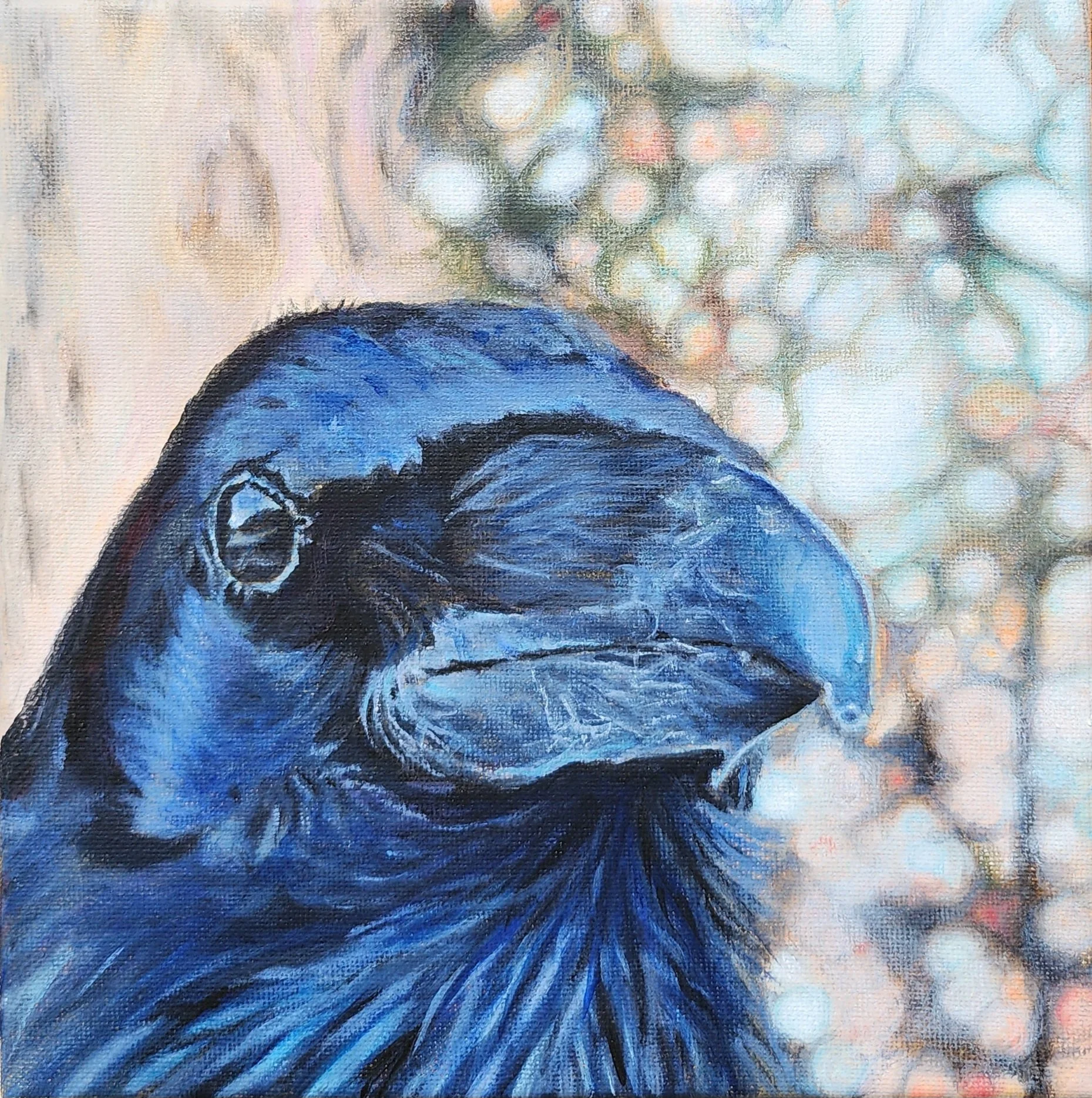 Curious, 8 x 8", Acrylic on Canvas