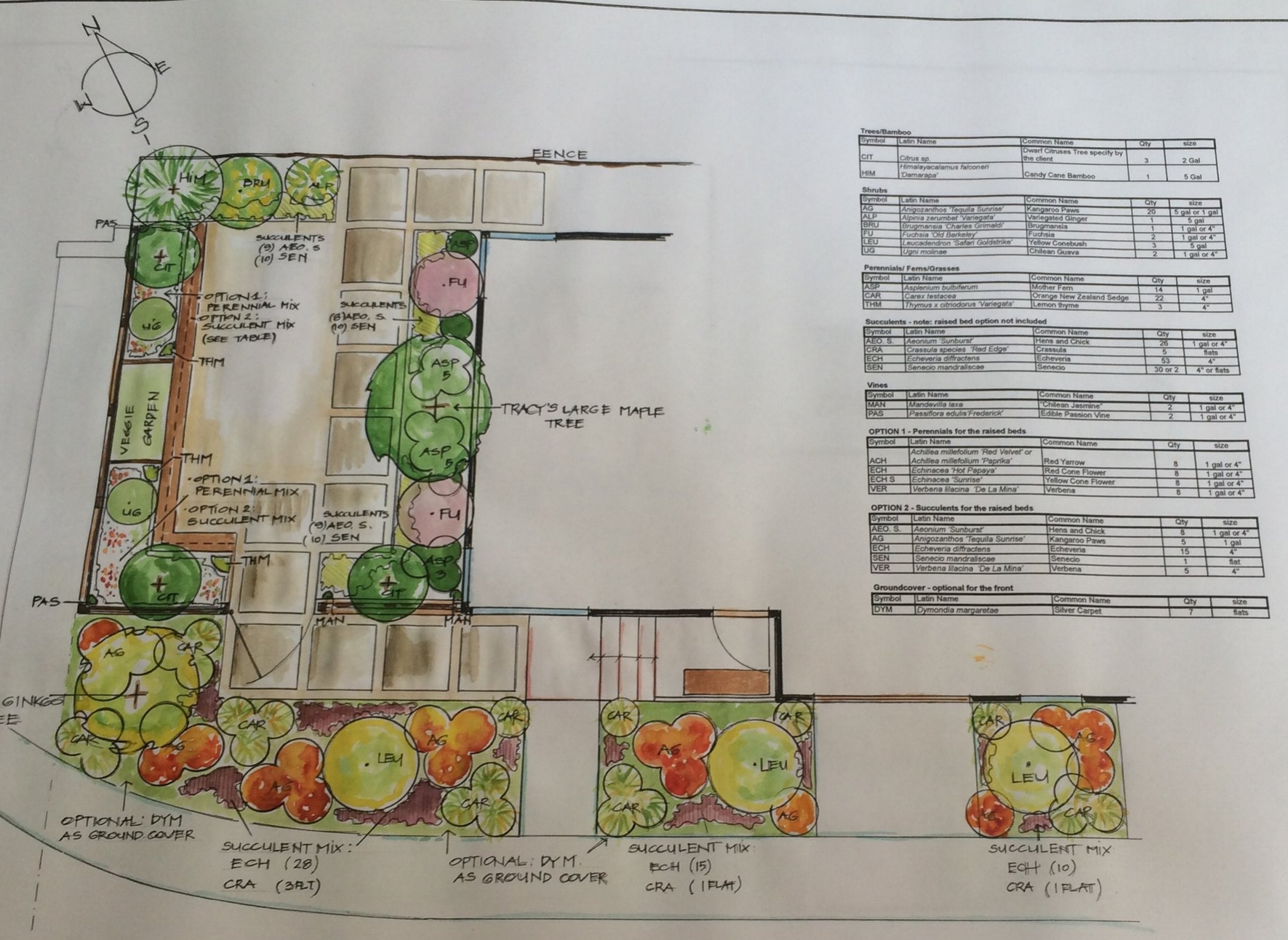 Alameda Landscape Design