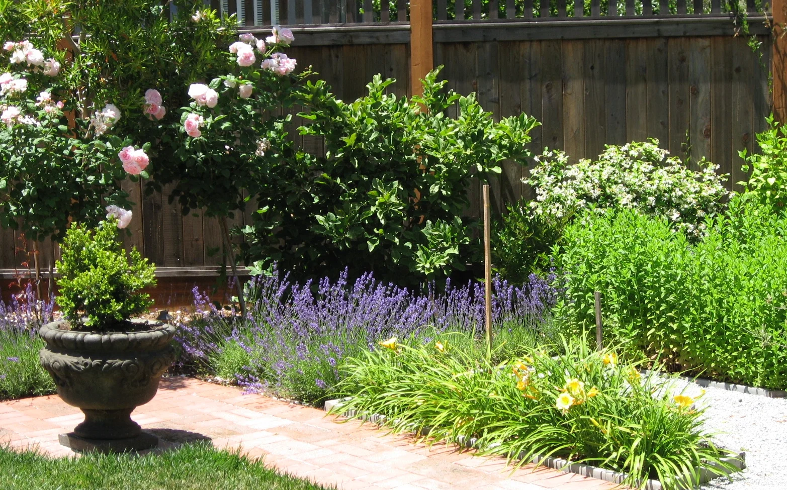 Burlingame Cottage Garden
