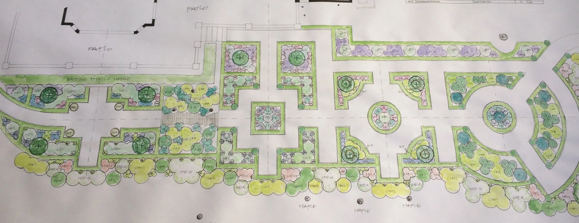 Drought tolerant formal landscape design 