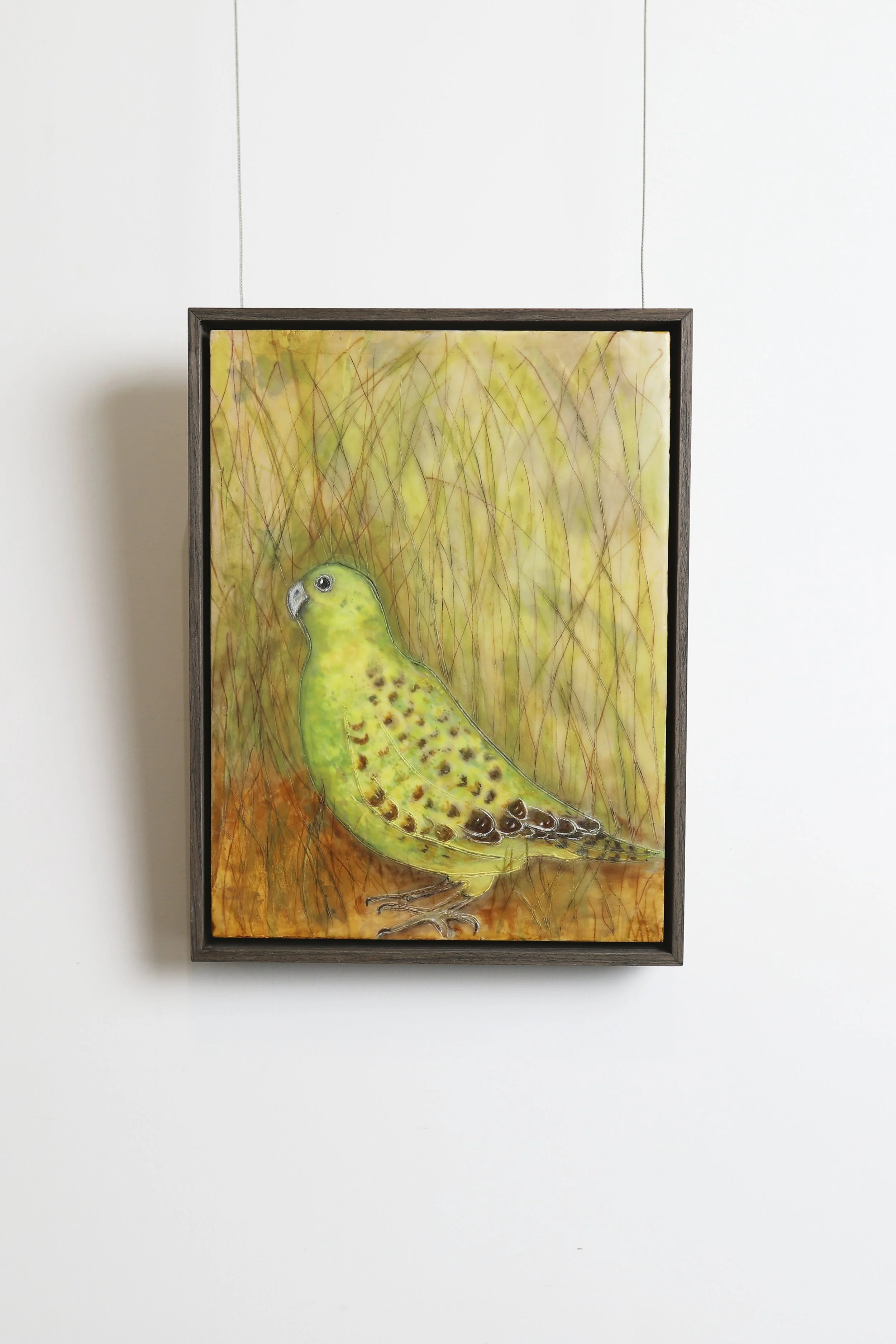 SymphonyofNature-LynMichie 63.jpg