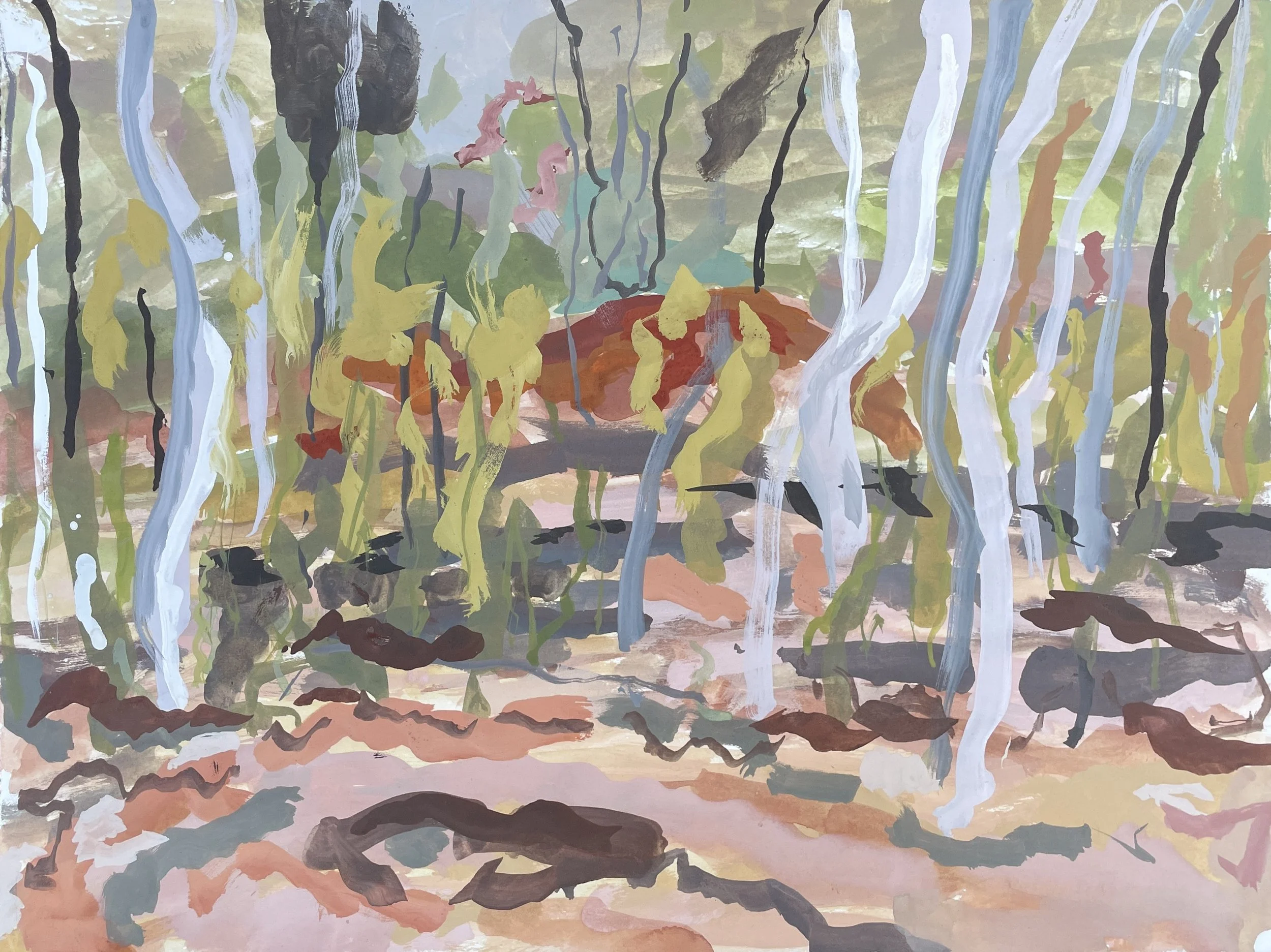 BronteWhittle_GlowBetweentheGhostGums_GouacheonPaper_40x50cm_Framed_$750.jpg