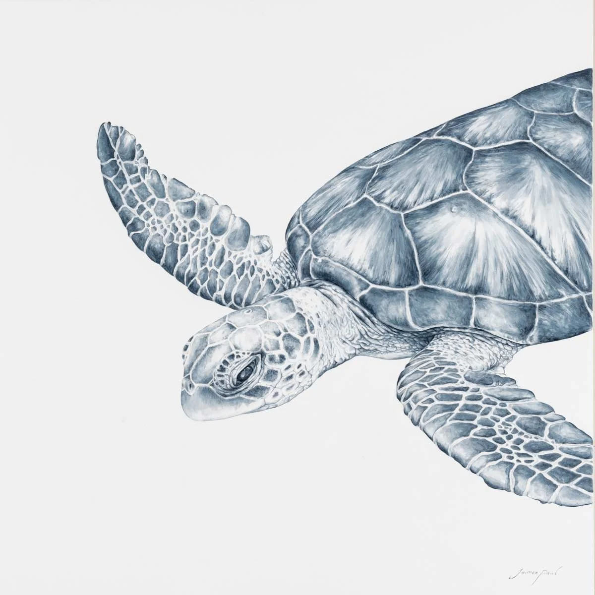 Jaimee-Paul_Ancient-Eyes_93x93_Watercolour-on-canvas_2100_LowRes.jpg