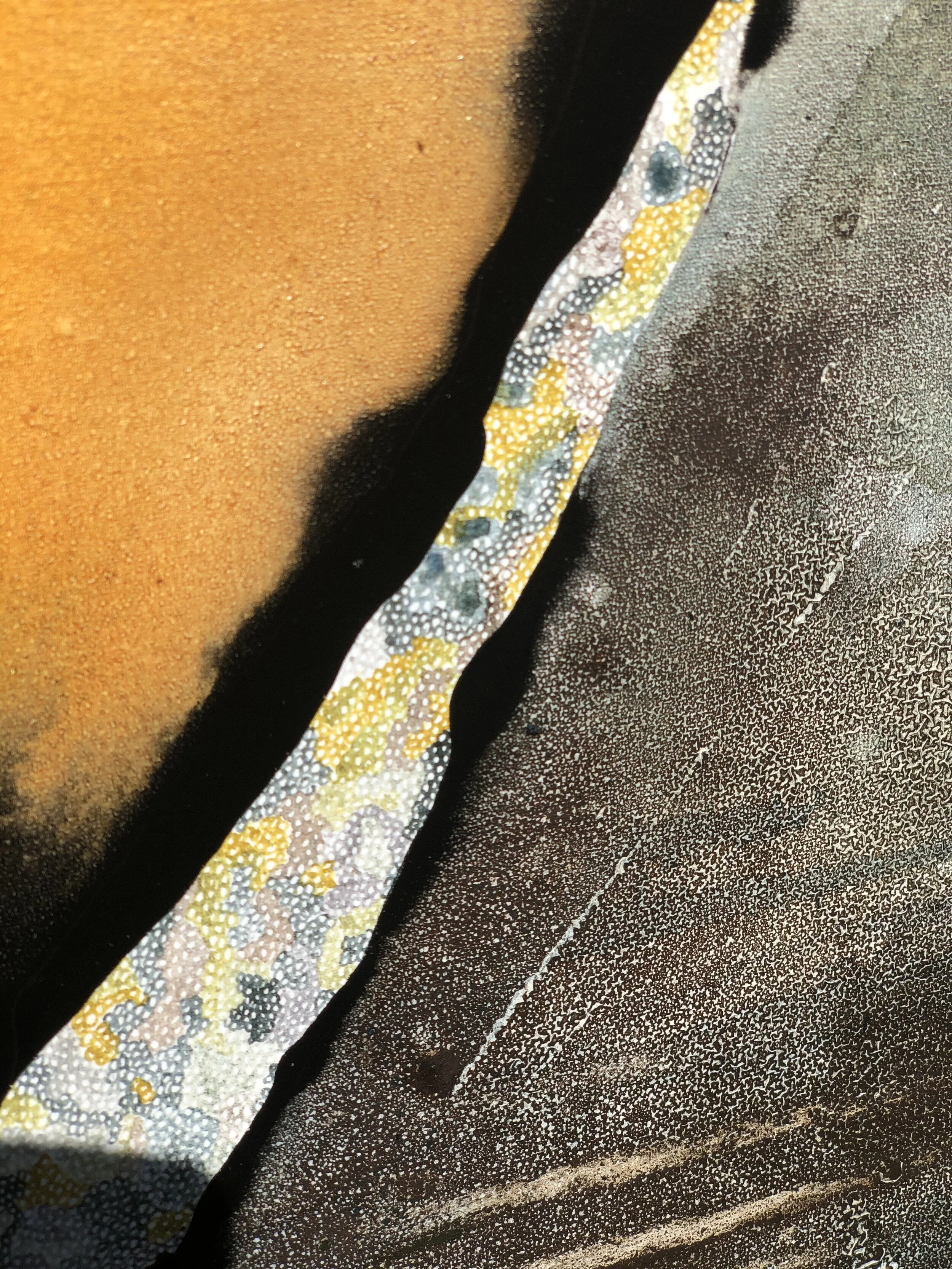 Chandler_A small corner of the earth_120x120cm_watercolouron canvas_2995 detail .jpg
