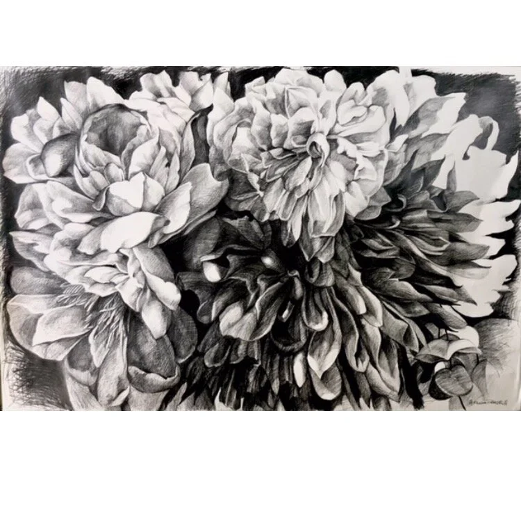 “Peonie Crush” Graphite on paper 100Hx152W cms. unframed $2450jpeg.jpeg