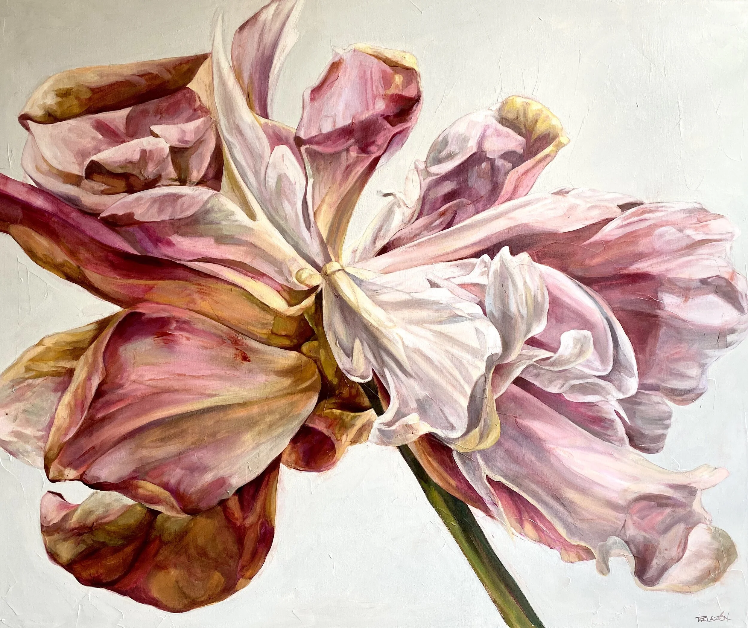 1 Upon a fold 101 x122cm .Acrylic on canvas. 2700.jpg