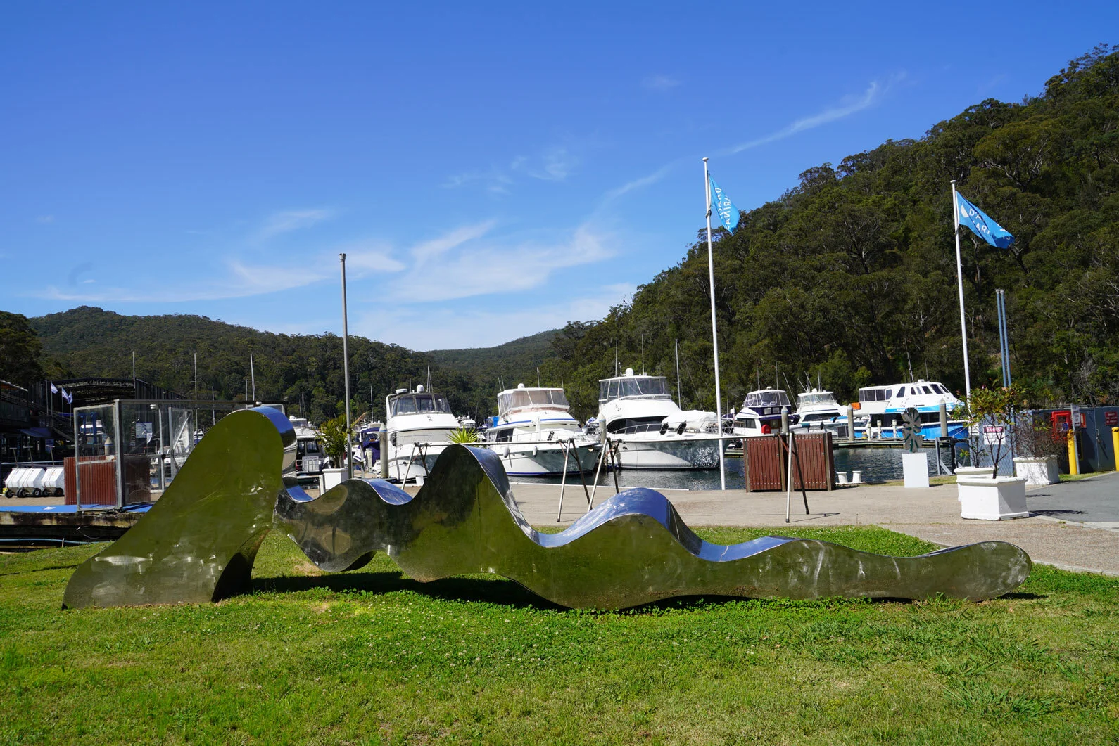 DSC01702.JPG