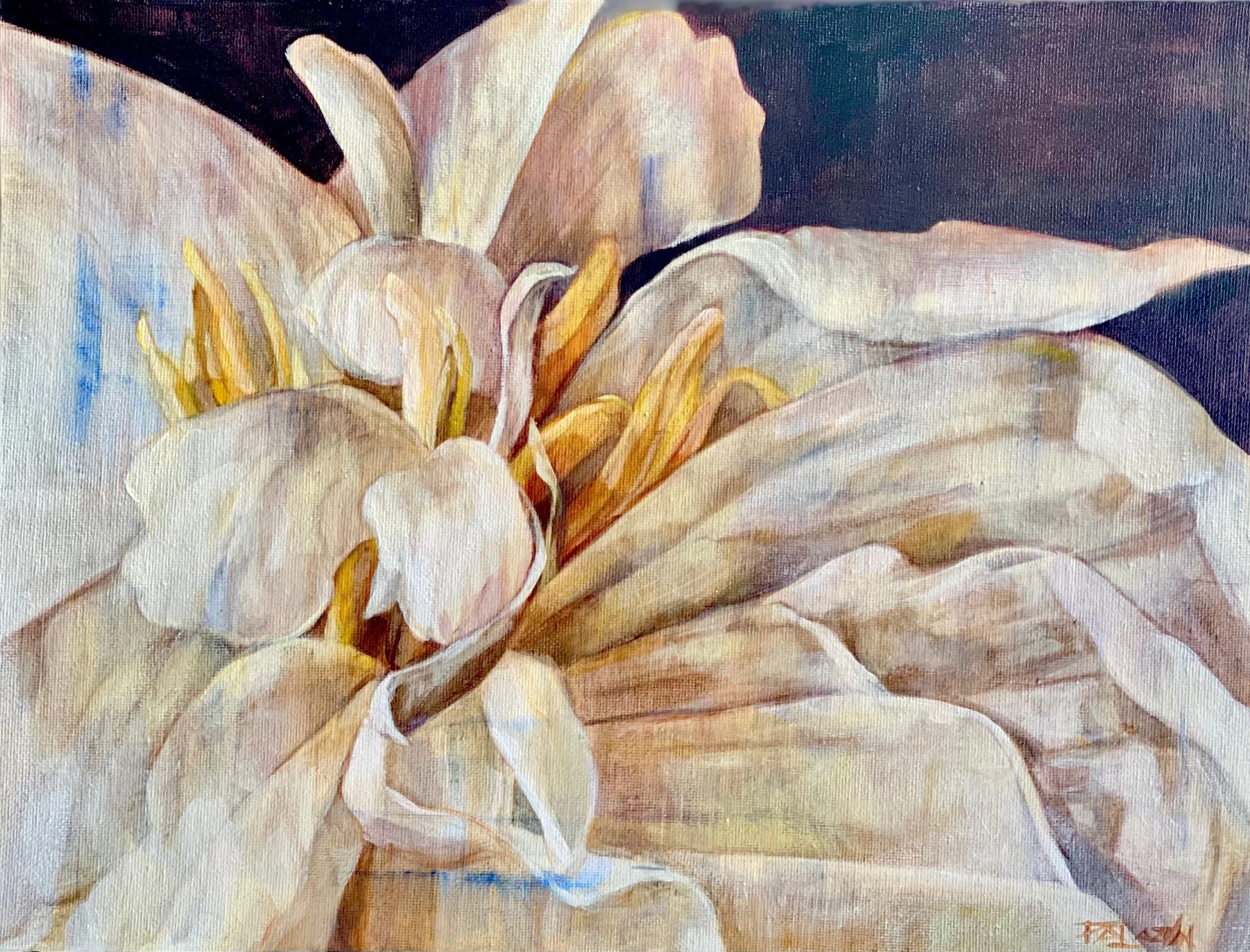 E47CFA40-4F7D-4208-A2C8-BD513D8291B7