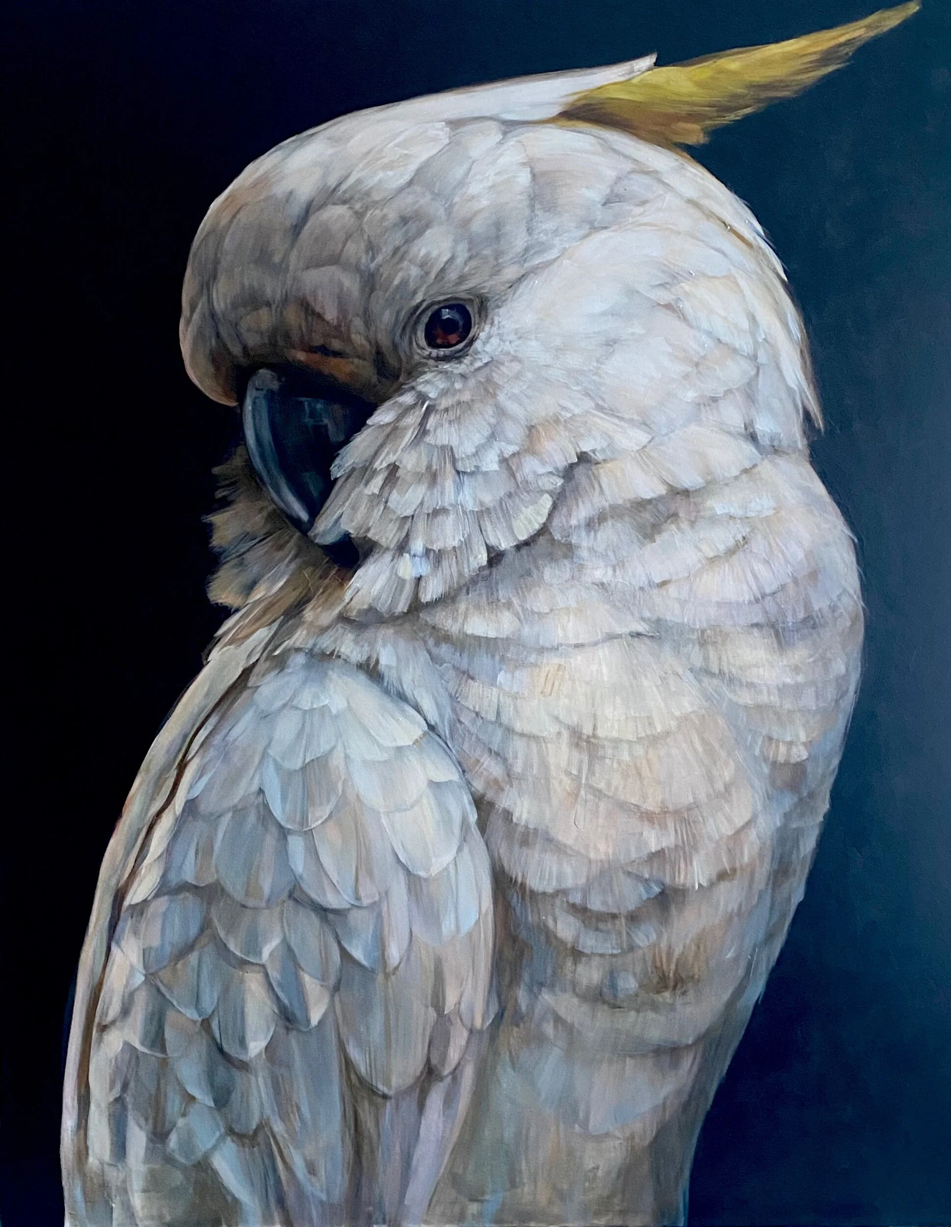 2930CC2E-6415-4E37-AF89-551593E34311