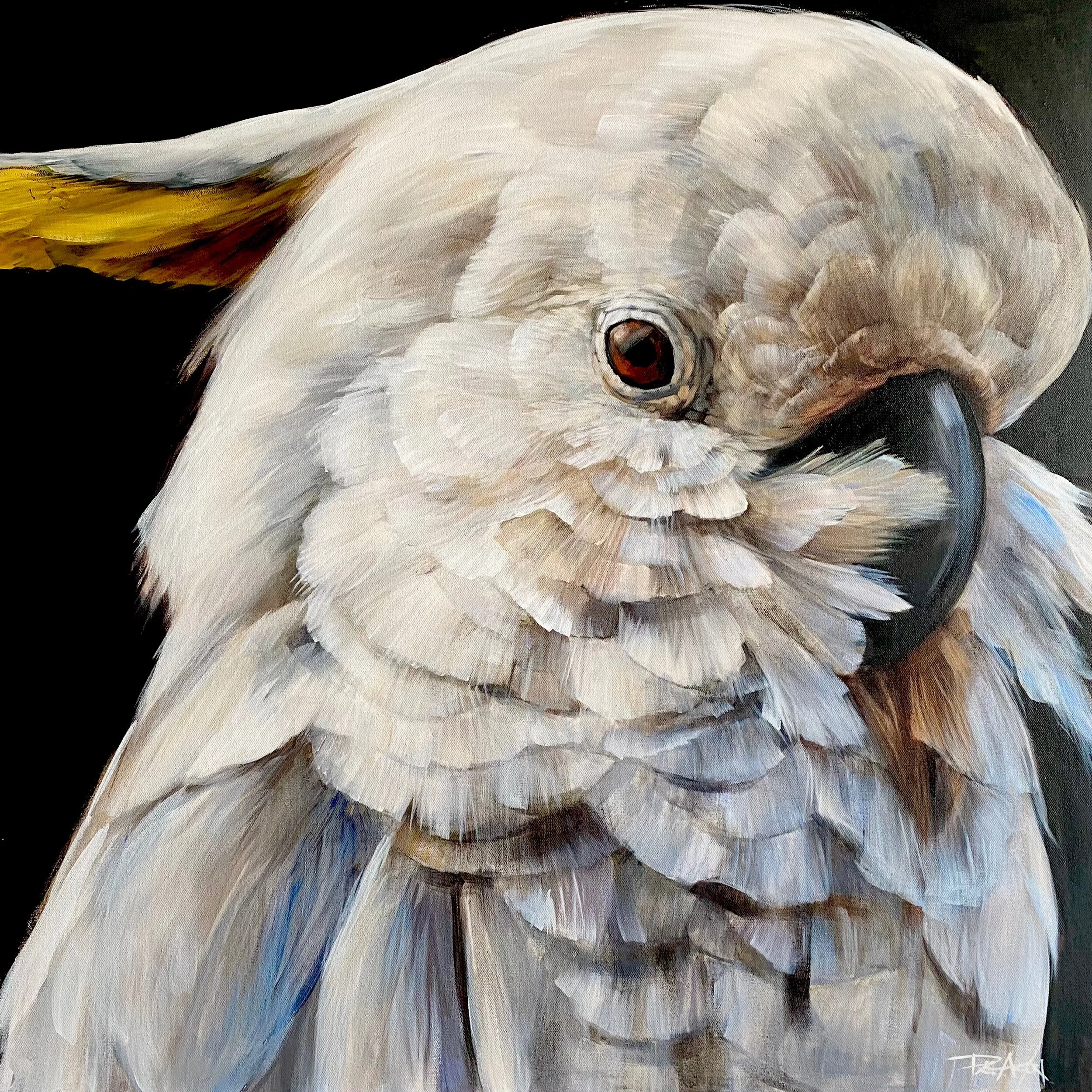 F15F6FDB-CA54-4072-B30C-F3A4AFD35E1C