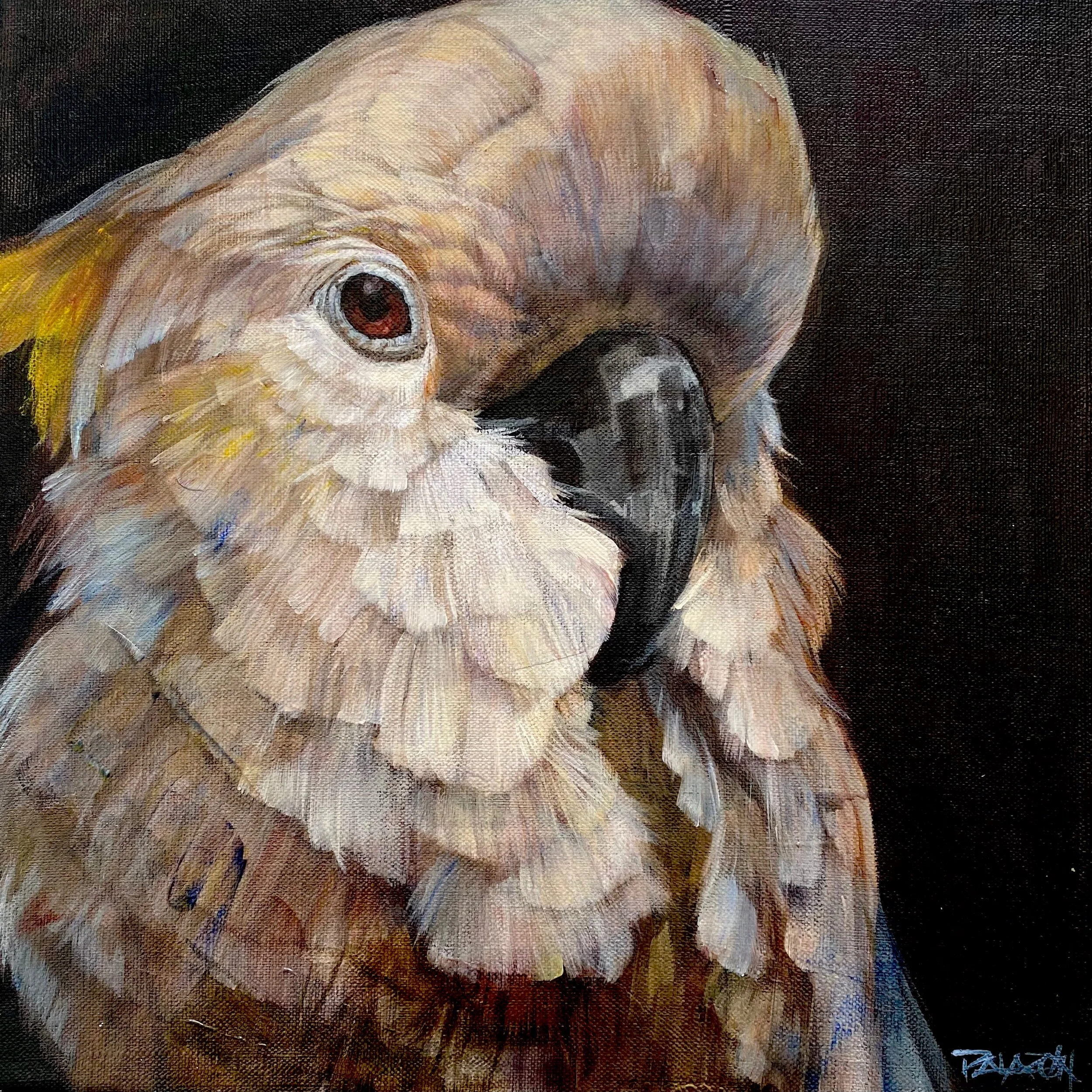 542423D6-6AAE-4FC5-B9F2-3B87491E4E69