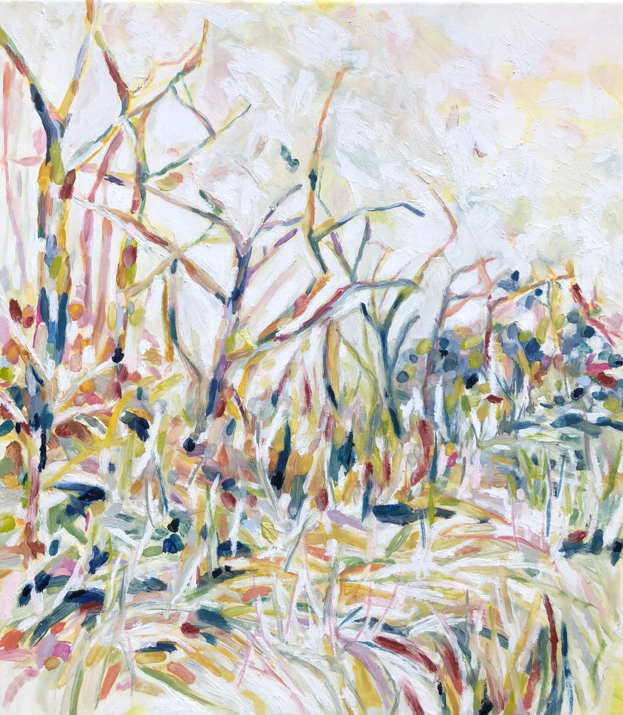 FA02AB9D-0EBA-4423-84C0-ABD1BF47553E