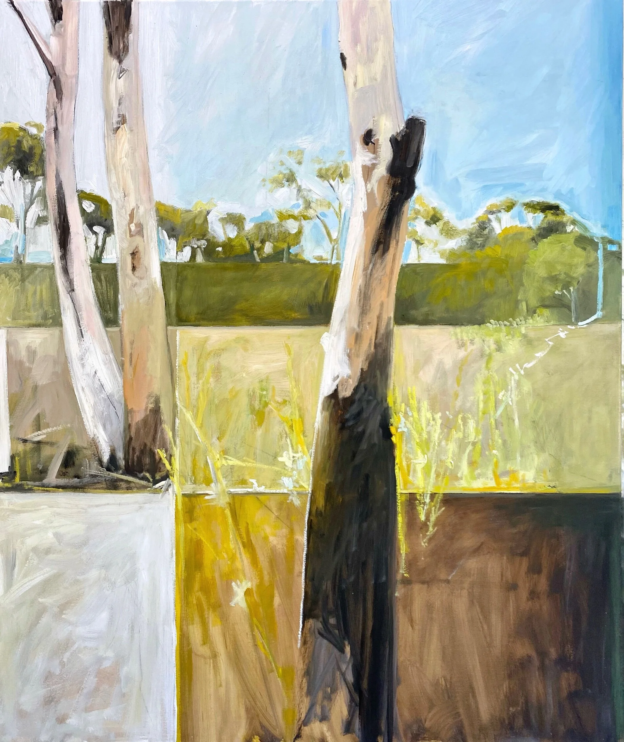 4410CFFC-1A03-40B5-99FC-7DEC76C9D065