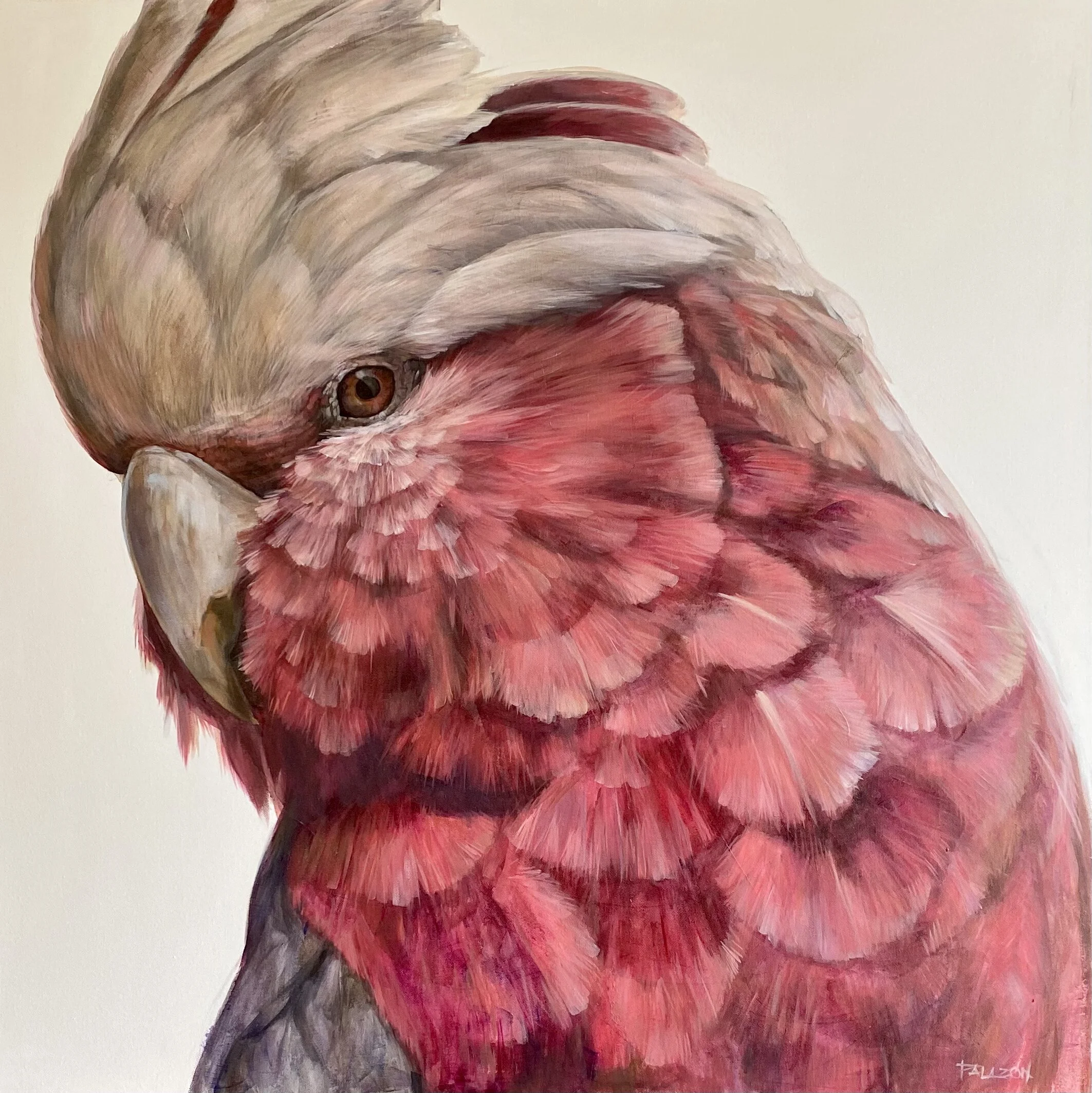 FDCF8A51-B9AE-47DA-9092-06486D189CC0