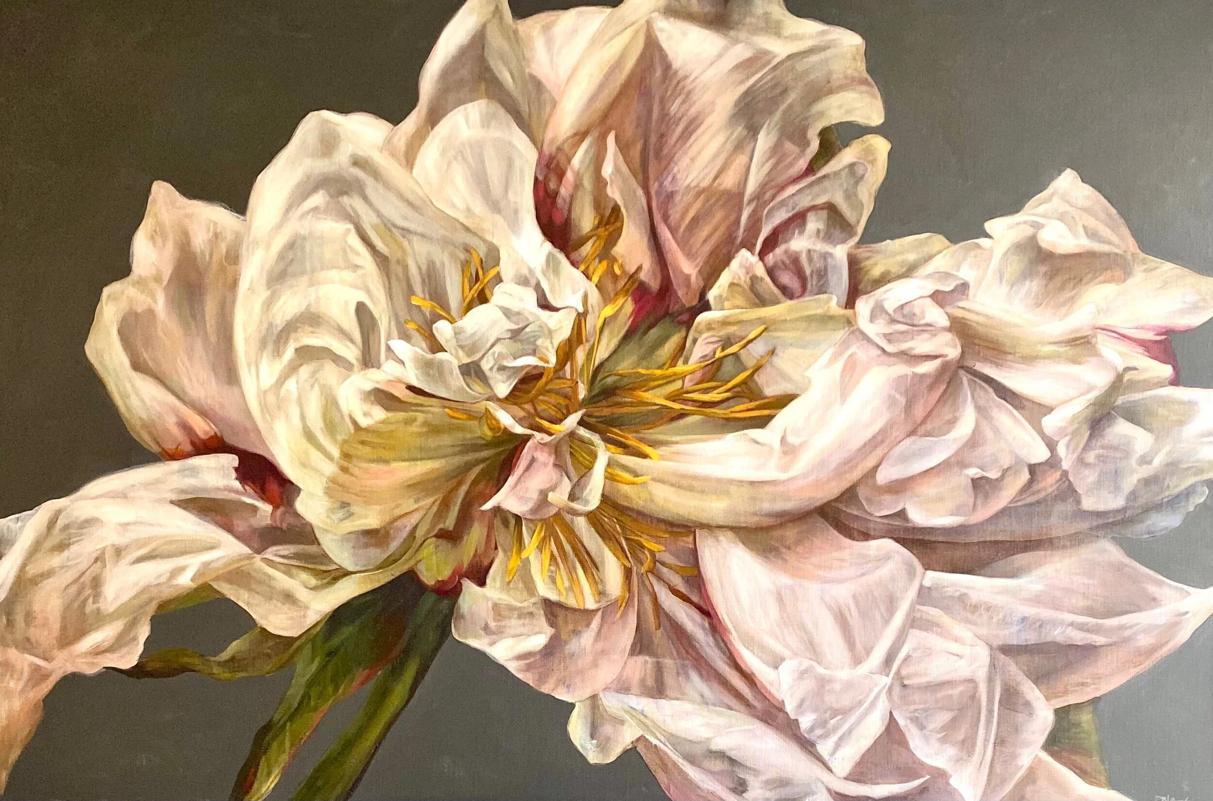 355B9F7B-96B7-44C2-B7DA-7D977F348F6C