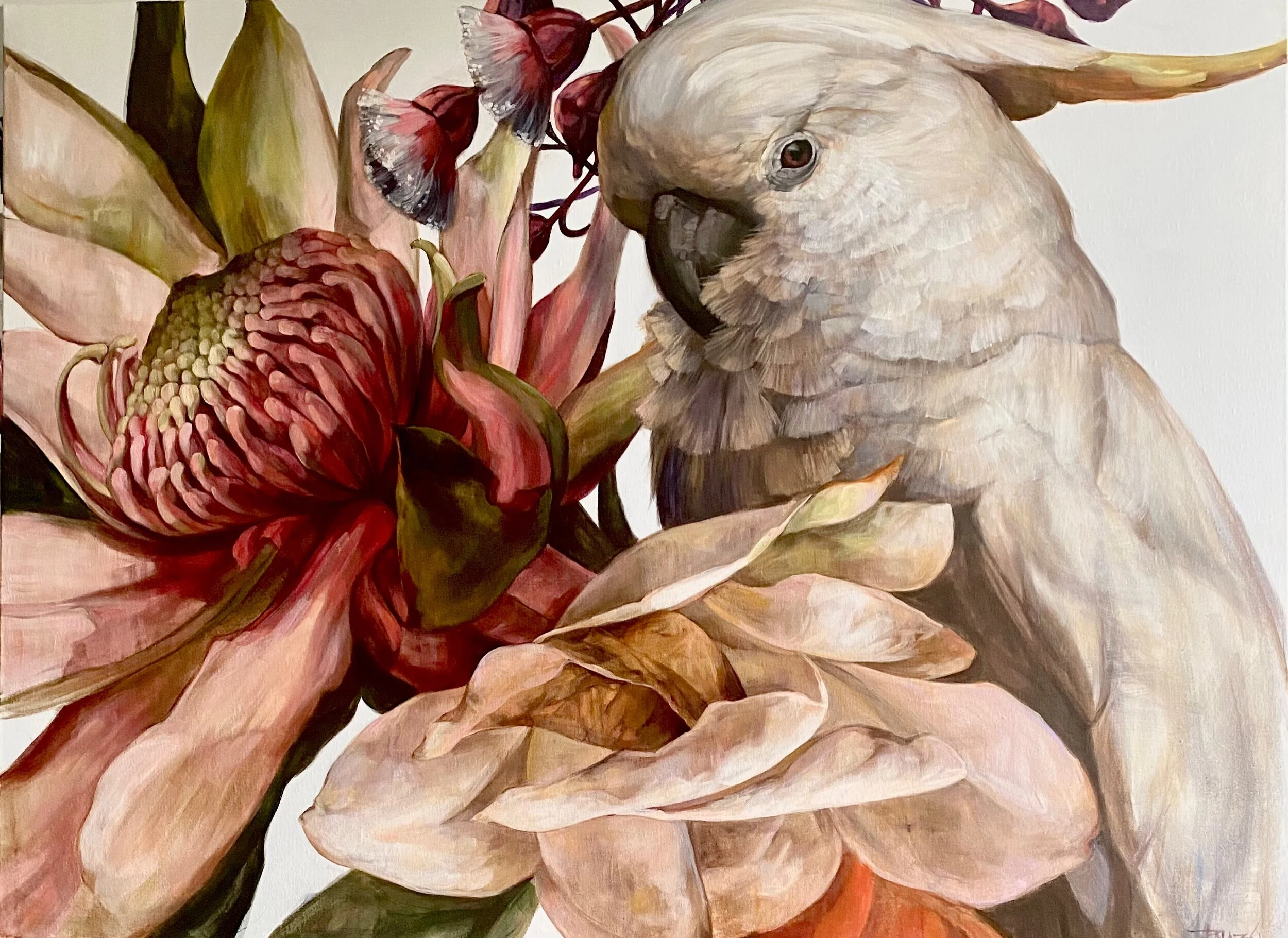 9B0978AC-D877-4DFC-82FE-A23157DB46DE