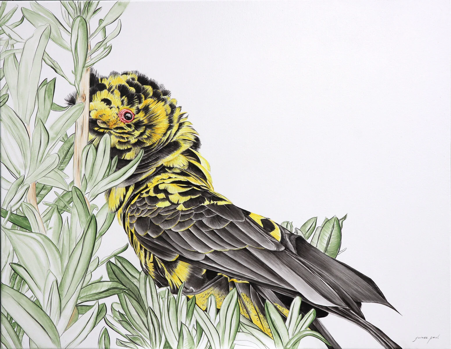 65CD015F-3D72-4275-BA54-0385809E6090