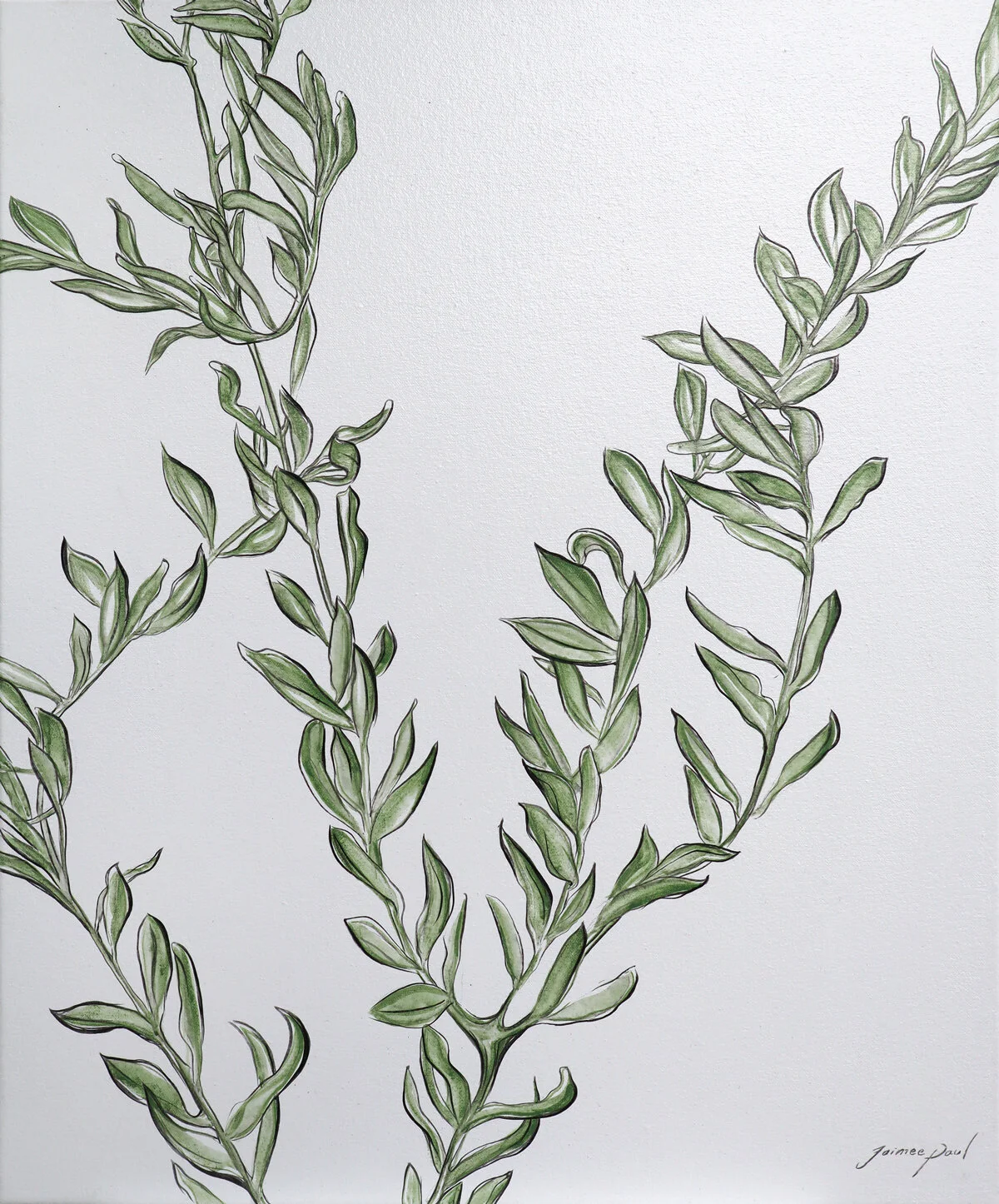 C3309647-C363-4E79-AE41-DC554EFBF4DD