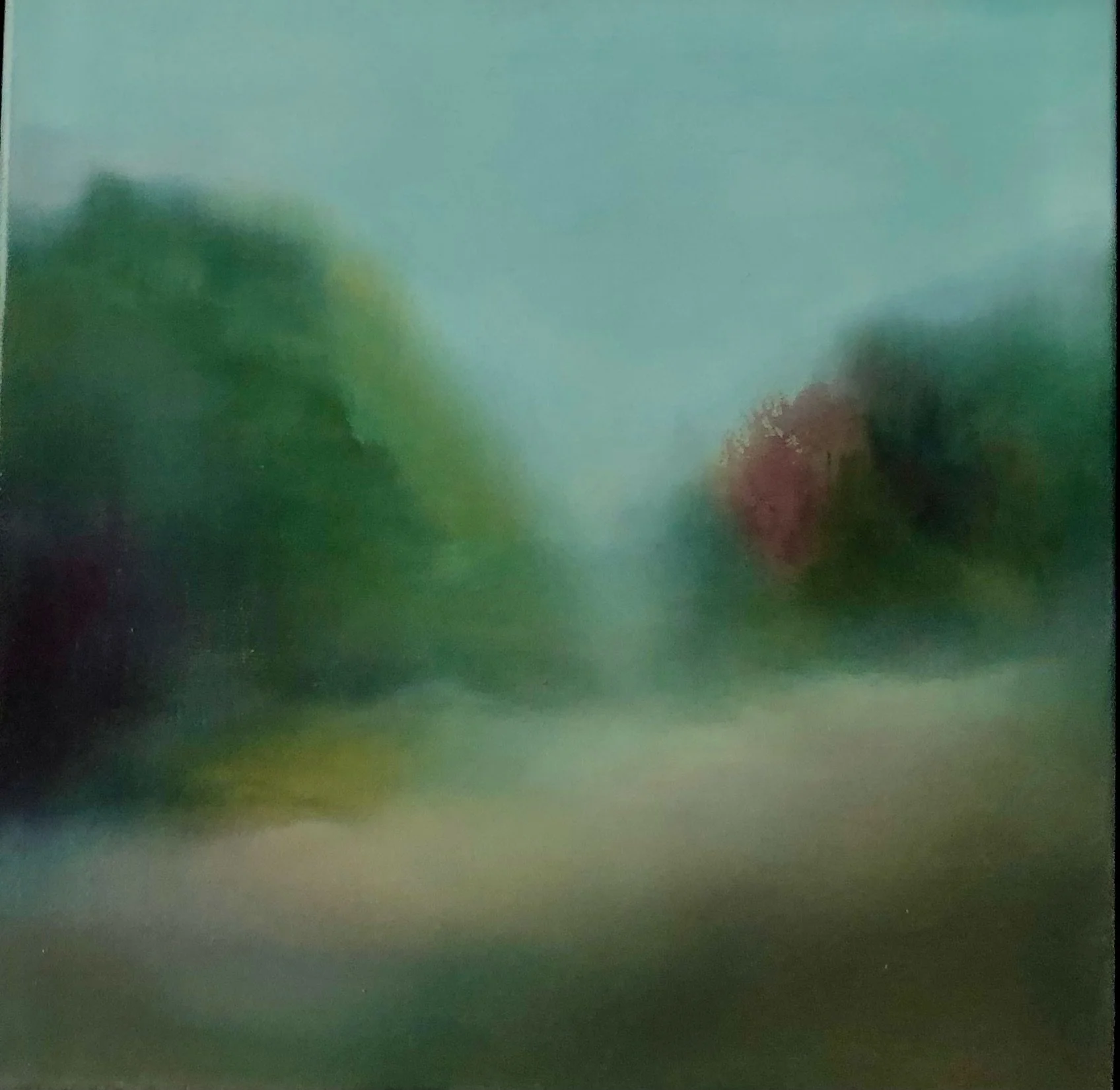 LisaCotton i oil on canvas_framedindarkwood.jpeg