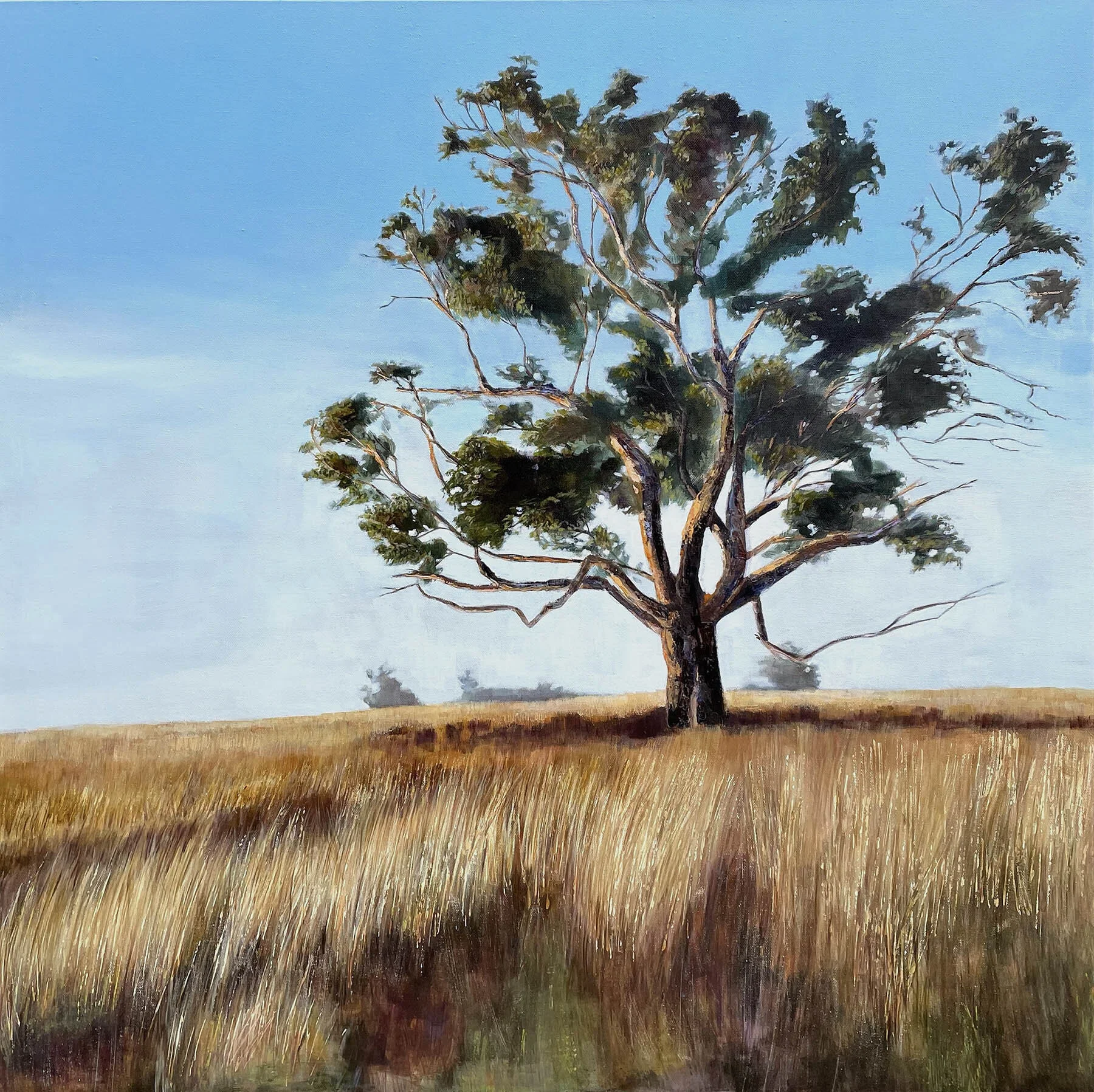 AD220F32-8562-4794-9FB8-C59129C403A3