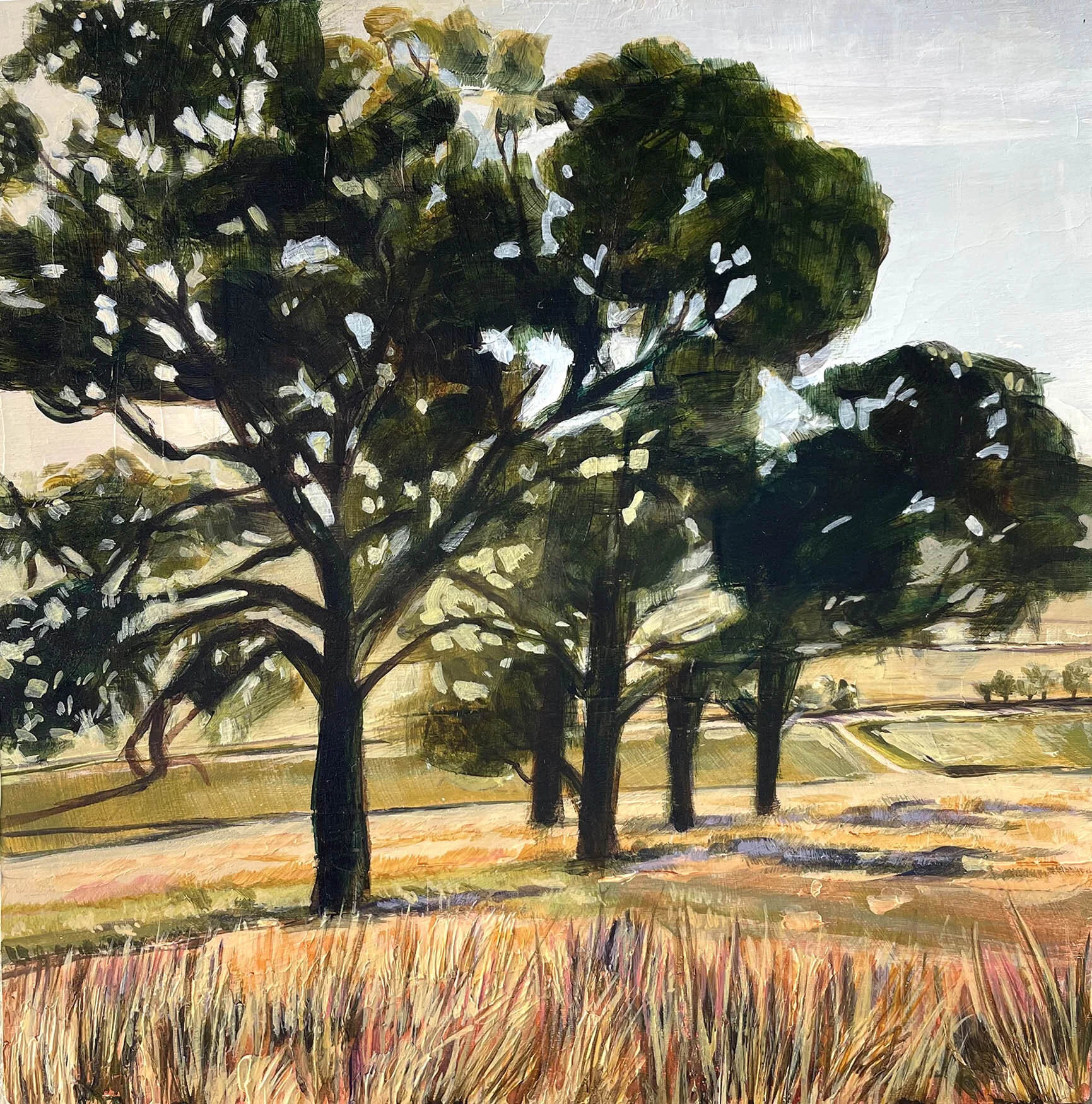 4C6FC31F-5450-402C-AEB2-1D1AEC7F951A