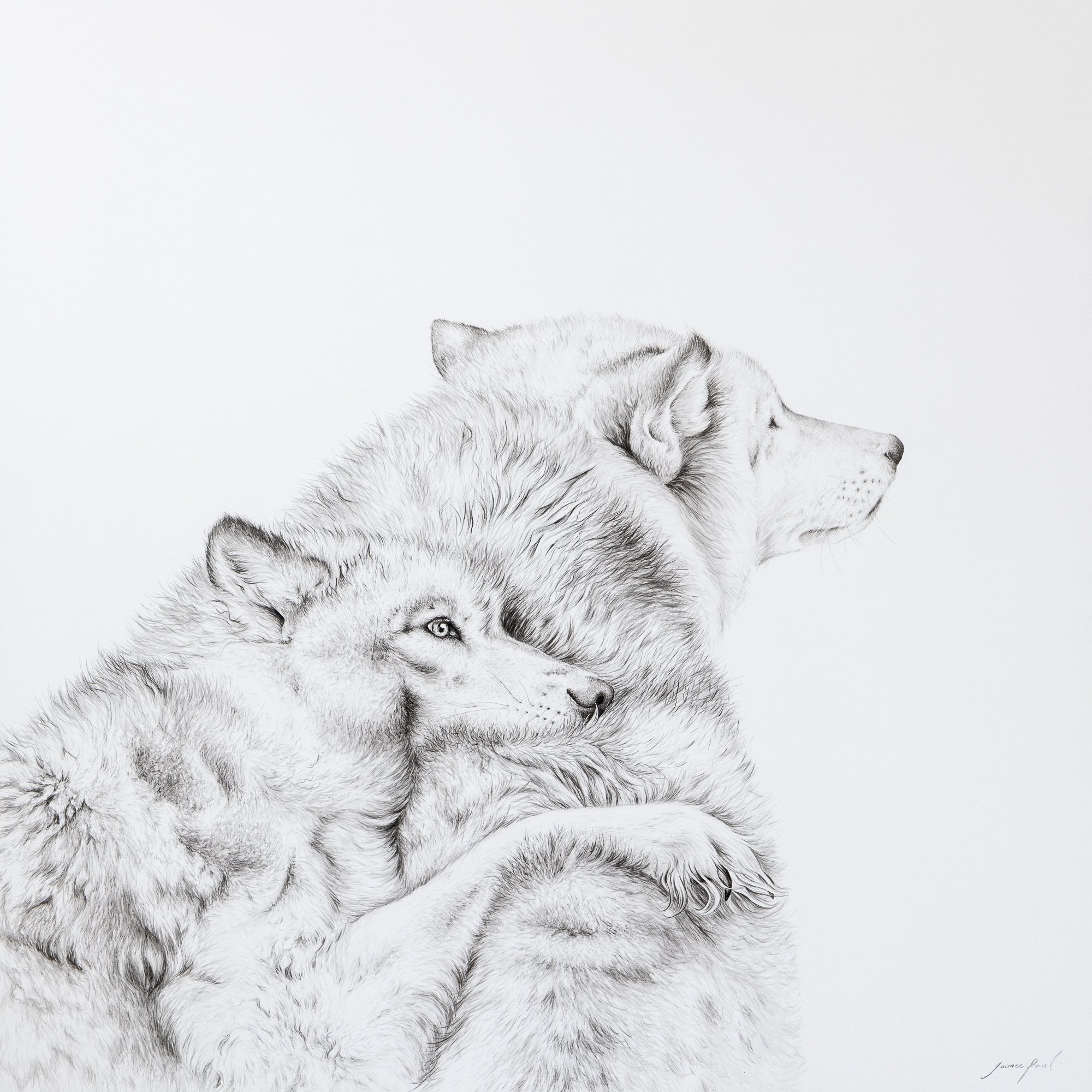 _JaimeePaul_Home is where you are_Reconnect_Artworks_photoKayapa_Low-6.jpg